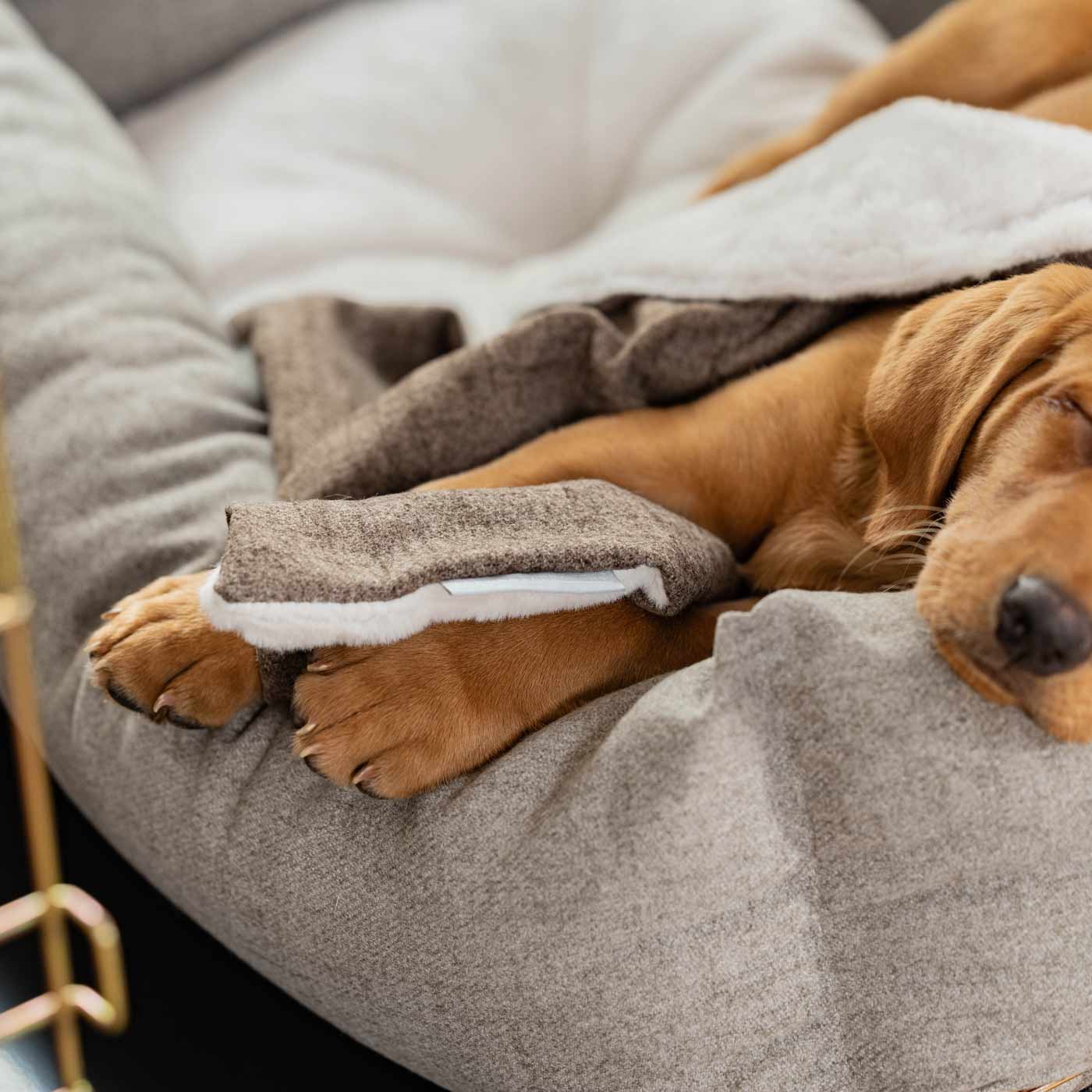Discover The Perfect Scented Blanket For Puppies! Help Your New Furry Friend Settle Into Their New Home With Our Inchmurrin Scented Puppy Blanket In Stunning Brown Ember! Available Now at Lords & Labradors