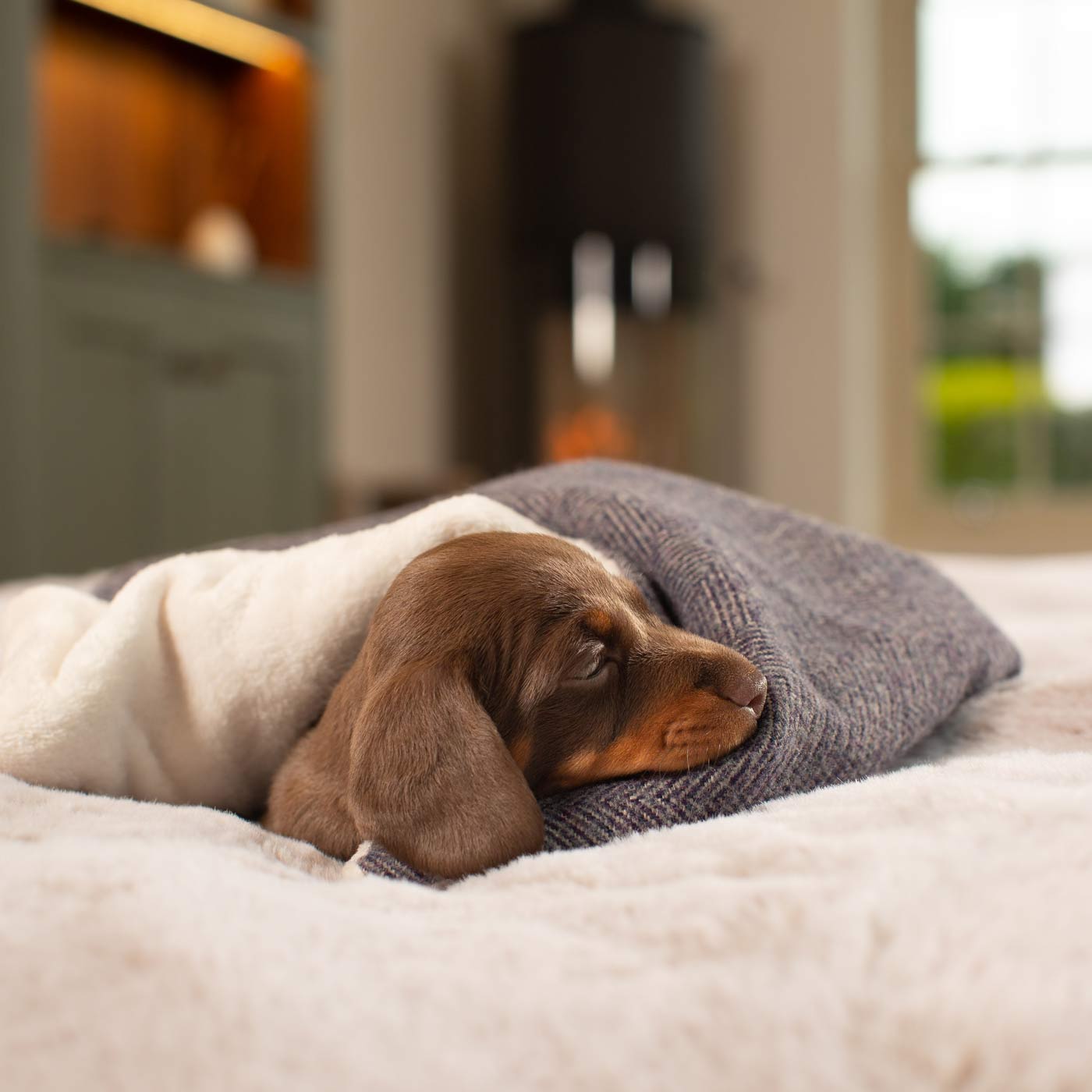 Luxury Herringbone Pet Scent Blanket collection, In Stunning Oxford Herringbone. The Perfect Blanket For Dogs, Available at Lords & Labradors US