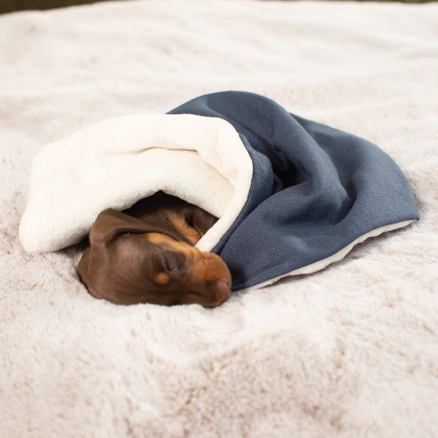 Luxury Savanna Pet Blanket collection, In Stunning Savanna Indigo. The Perfect Blanket For Dogs, Available at Lords & Labradors US
