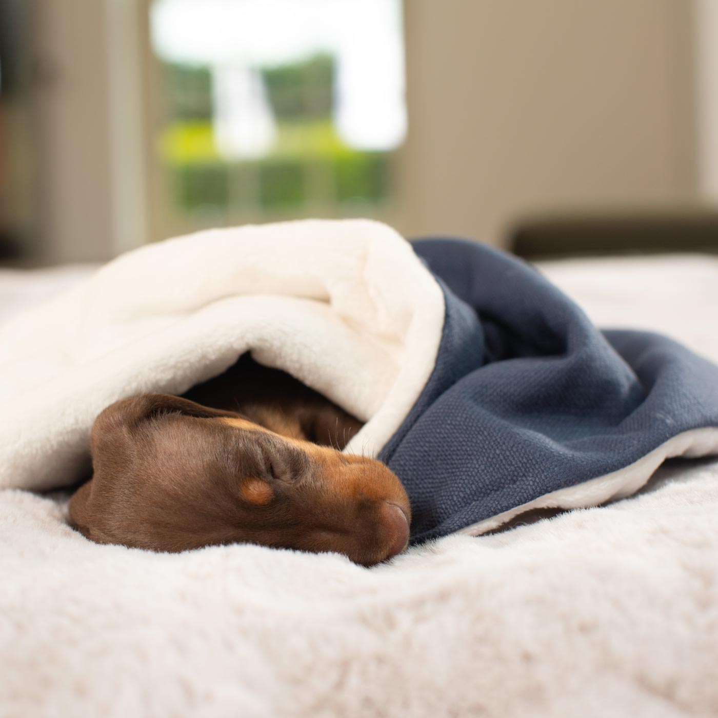 Luxury Savanna Pet Blanket collection, In Stunning Savanna Indigo. The Perfect Blanket For Dogs, Available at Lords & Labradors US