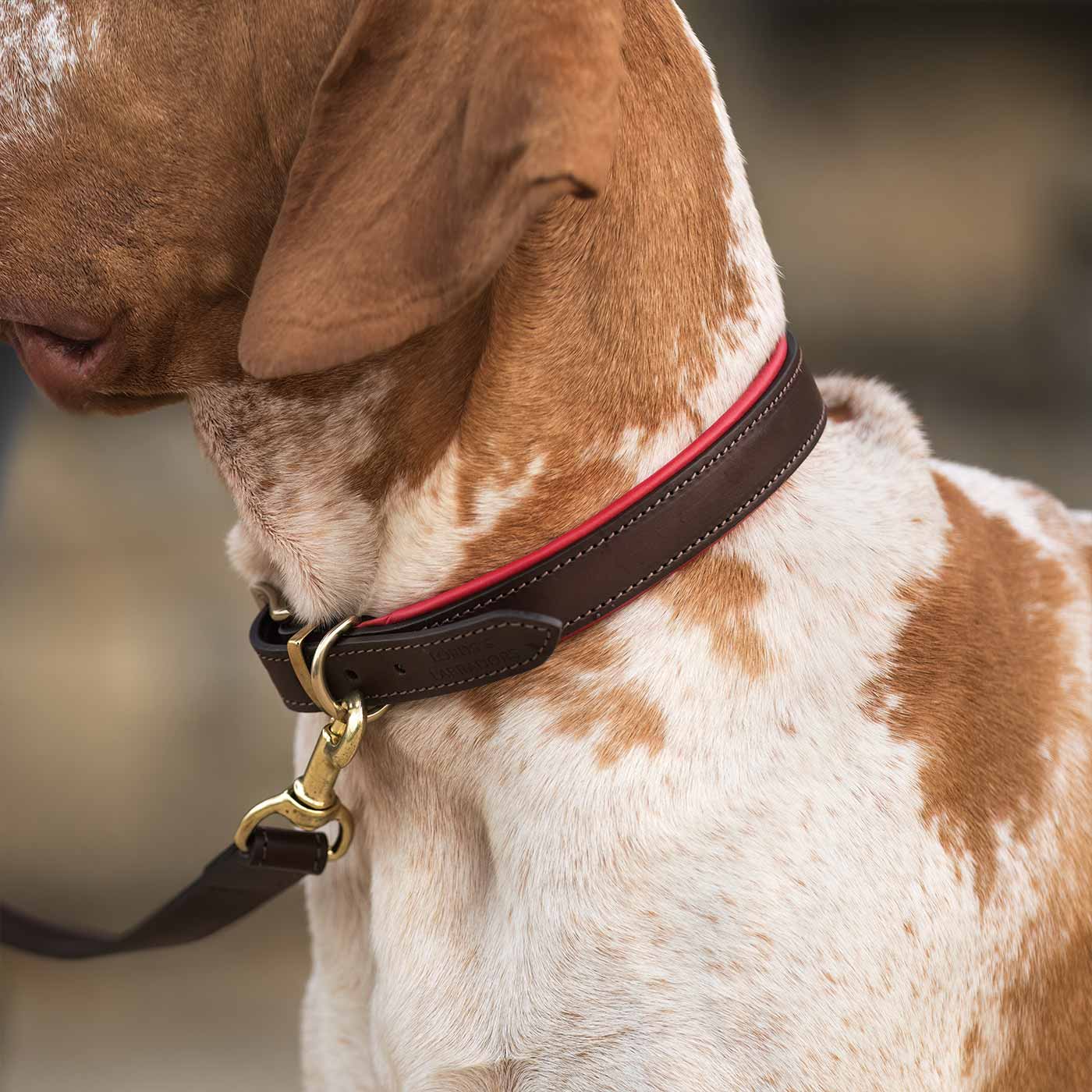 Discover dog walking luxury with our handcrafted Italian padded leather dog collar in Brown & Red! The perfect collar for dogs available now at Lords & Labradors US