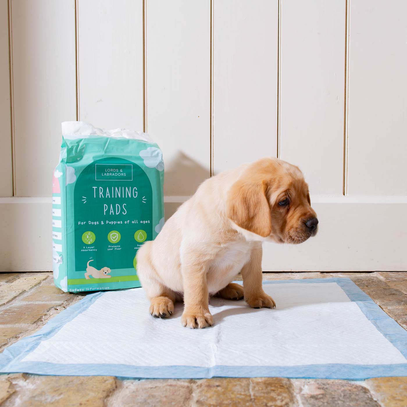 Discover Puppy Training Pads, 150 pads per pack. Featuring Super absorbent with 5 layers absorbency, and Makes house training easy and protects floors. Reducing smelly odours, Perfect for training puppies, travelling, ill or confined dogs. now available at Lords and Labradors US