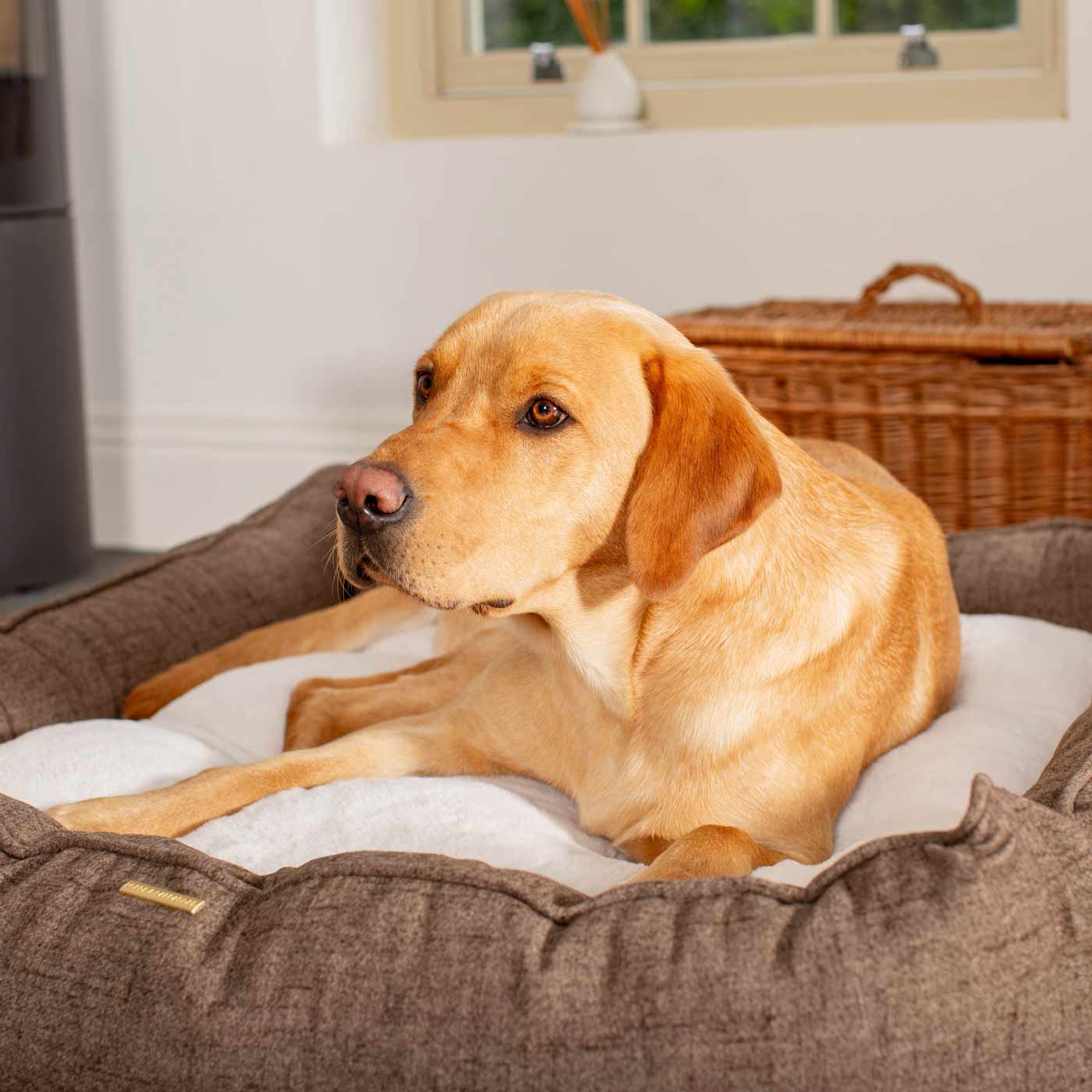 Box Bed For Dogs In Inchmurrin Umber By Lords & Labradors