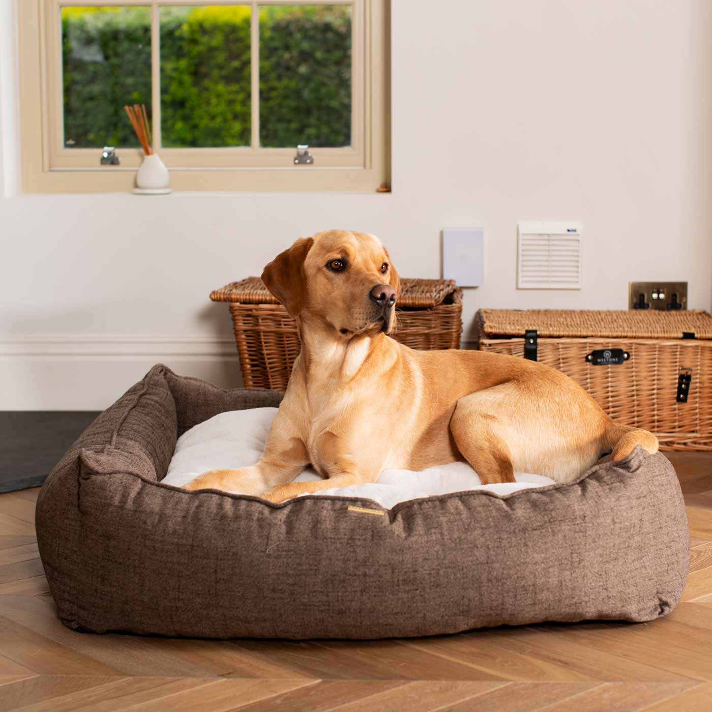 Box Bed For Dogs In Inchmurrin Umber By Lords & Labradors