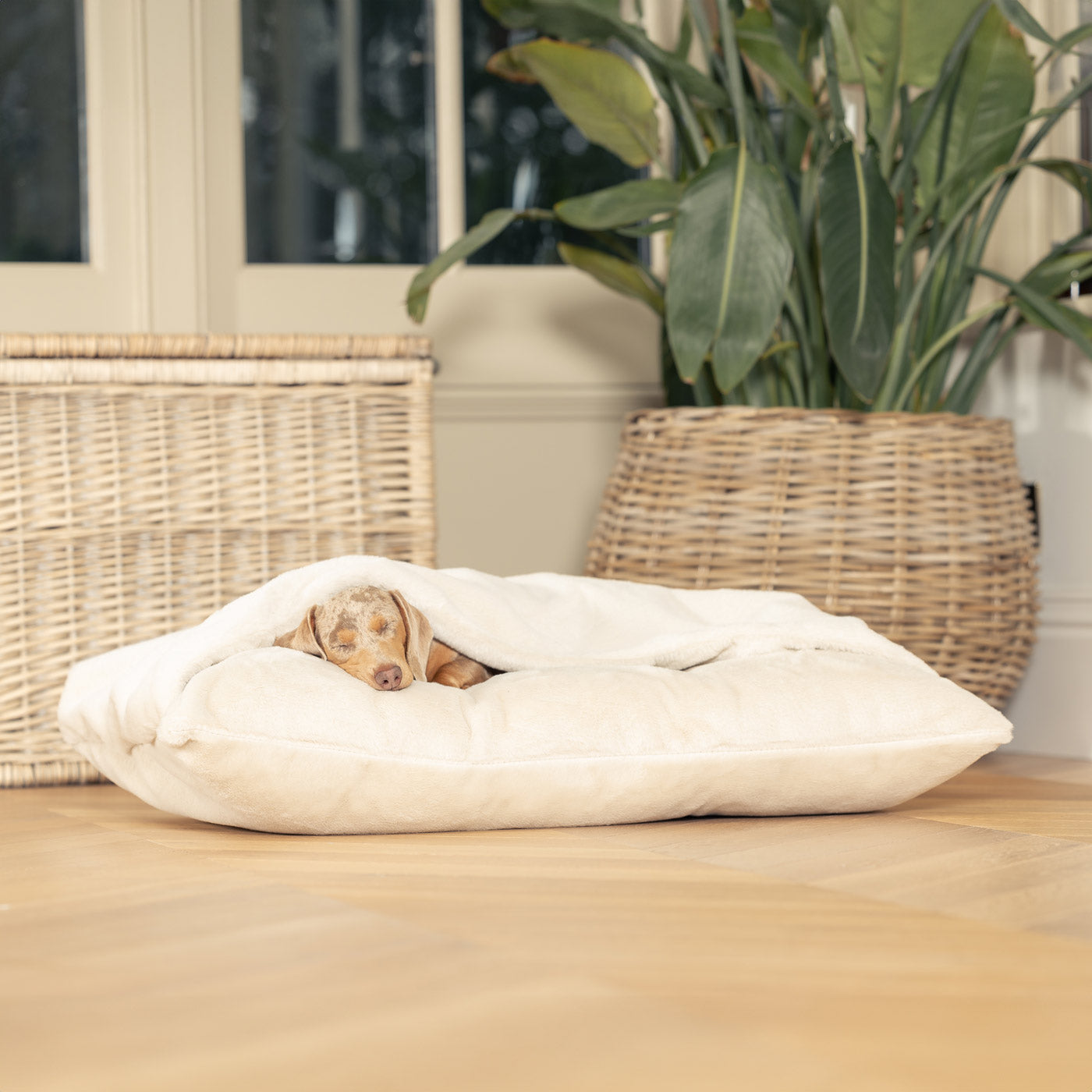 Discover The Perfect Burrow For Your Pet, Our Stunning Sleepy Burrow Dog Beds In Calming Anti Anxiety Cream Faux Fur, Is The Perfect Bed Choice For Your Pet, Available Now at Lords & Labradors US