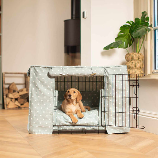 Luxury Black Dog Cage Set With Crate Cover, The Perfect Dog Crate For The Ultimate Naptime, Available Now at Lords & Labradors US