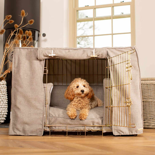 Dog Cage Set In Inchmurrin Ground by Lords & Labradors