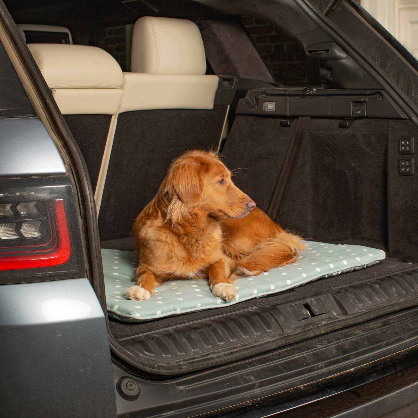 Embark on the perfect pet travel with our luxury Travel Mat in Essentials Duck Egg Spot. Featuring a Carry handle for on the move once Rolled up for easy storage, can be used as a seat cover, boot mat or travel bed! Available now at Lords & Labradors US