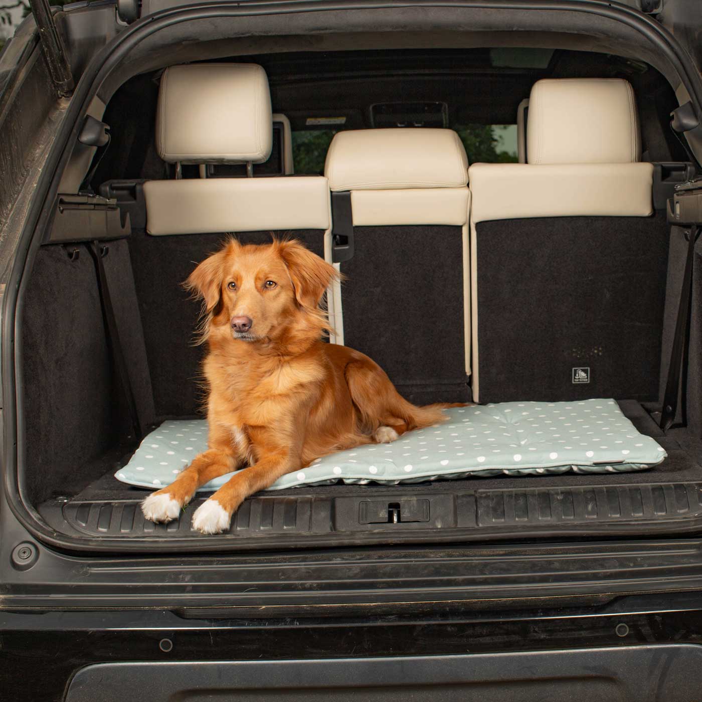 Embark on the perfect pet travel with our luxury Travel Mat in Essentials Duck Egg Spot. Featuring a Carry handle for on the move once Rolled up for easy storage, can be used as a seat cover, boot mat or travel bed! Available now at Lords & Labradors US