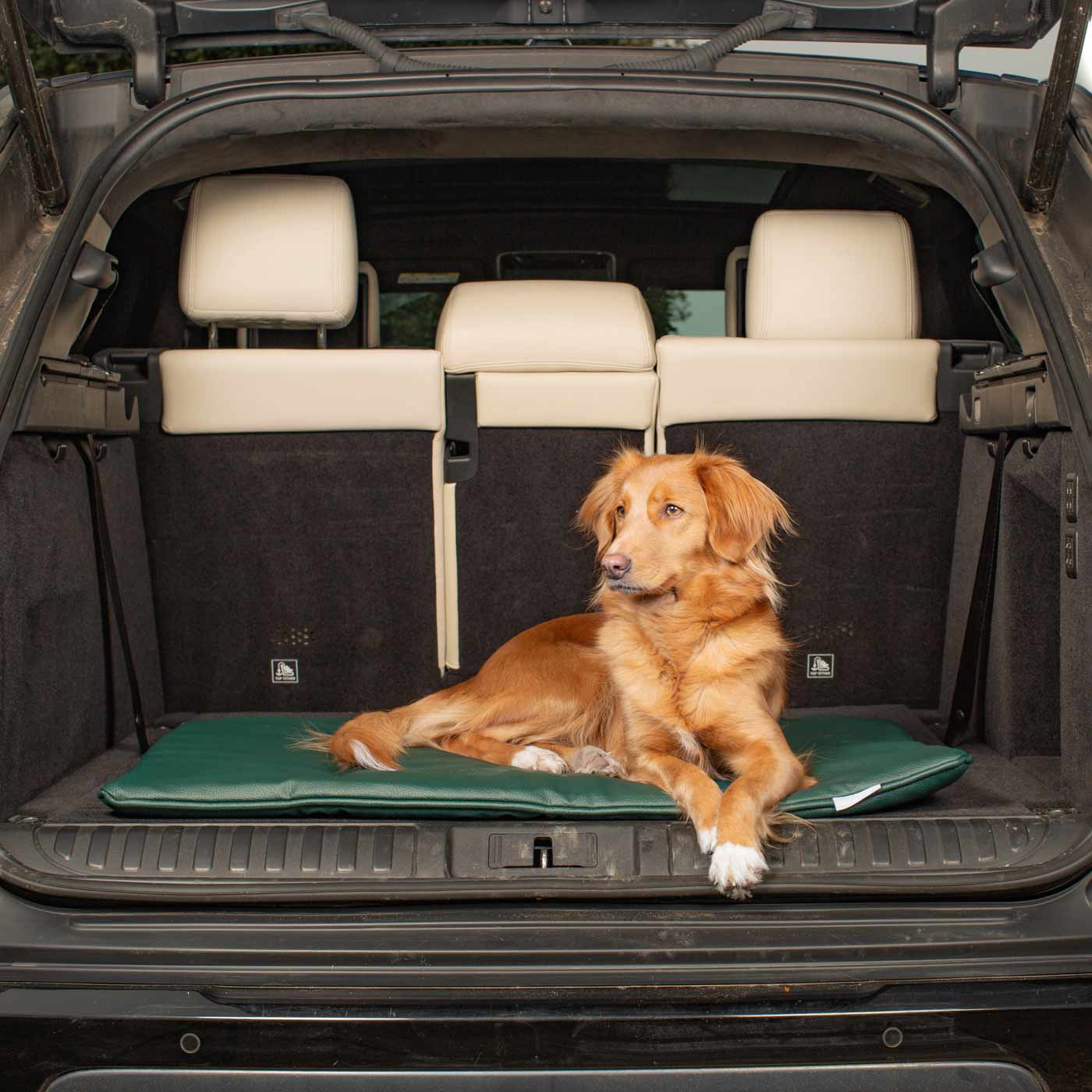 Embark on the perfect pet travel with our luxury Travel Mat in Rhino Forest (Green). Featuring a Carry handle for on the move once Rolled up for easy storage, can be used as a seat cover, boot mat or travel bed! Available now at Lords & Labradors US
