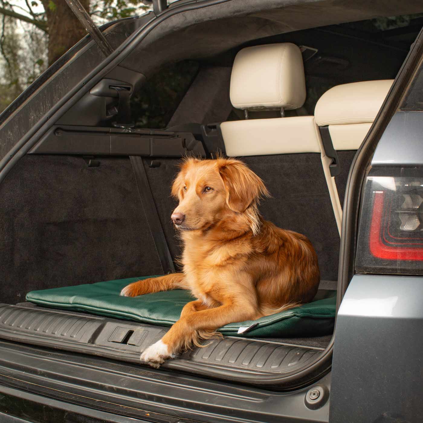 Embark on the perfect pet travel with our luxury Travel Mat in Rhino Forest (Green). Featuring a Carry handle for on the move once Rolled up for easy storage, can be used as a seat cover, boot mat or travel bed! Available now at Lords & Labradors US