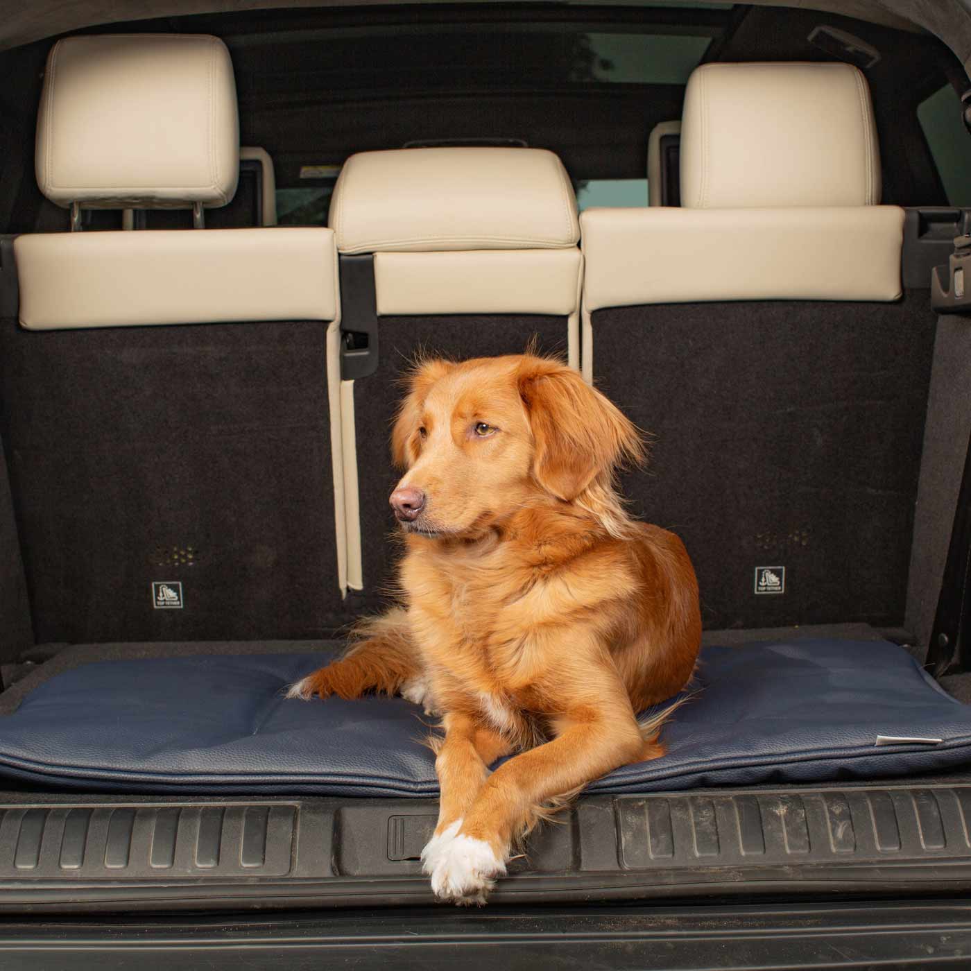 Embark on the perfect pet travel with our luxury Travel Mat in Rhino Pacific. Featuring a Carry handle for on the move once Rolled up for easy storage, can be used as a seat cover, boot mat or travel bed! Available now at Lords & Labradors US