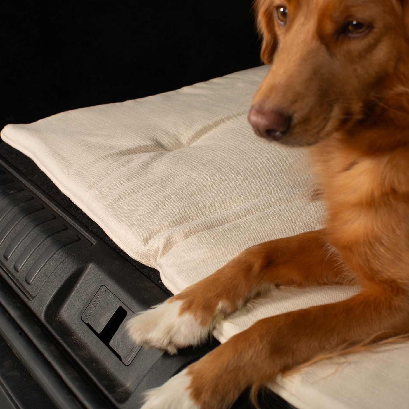 Embark on the perfect pet travel with our luxury Travel Mat in Savanna Bone! Featuring a Carry handle for on the move once Rolled up for easy storage, can be used as a seat cover, boot mat or travel bed! Available now at Lords & Labradors US