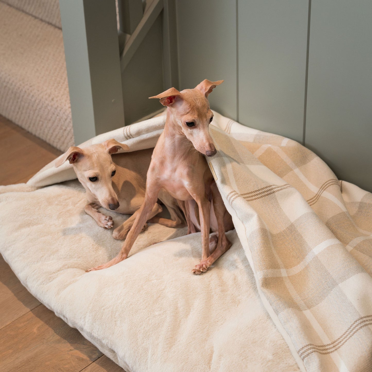 Discover The Perfect Burrow For Your Pet, Our Stunning Sleepy Burrow Dog Beds, In Natural Tweed Available Now at Lords & Labradors US