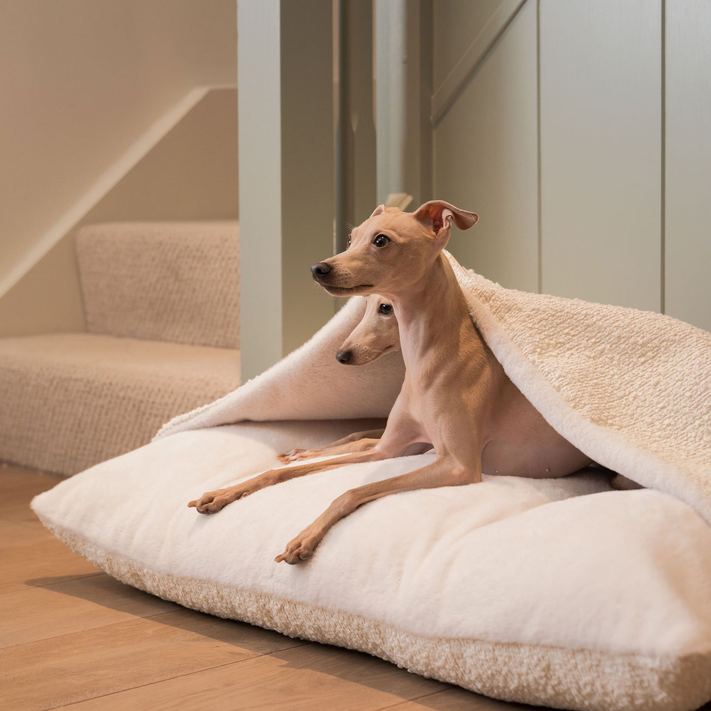 Luxury Ivory Boucle Sleepy Burrows, The Perfect bed For a Pet to Burrow. Available To Personalize In Stunning Ivory Bouclé Here at Lords & Labradors US