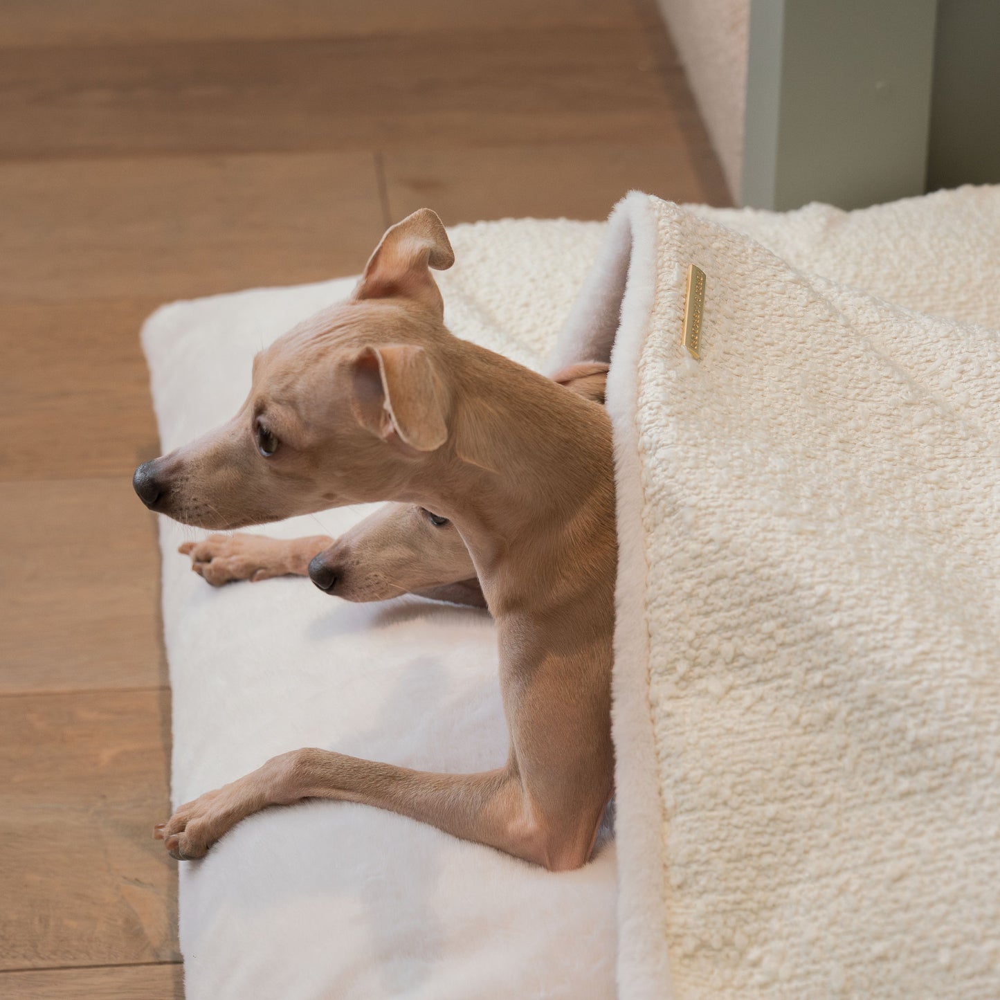 Luxury Ivory Boucle Sleepy Burrows, The Perfect bed For a Pet to Burrow. Available To Personalize In Stunning Ivory Bouclé Here at Lords & Labradors US