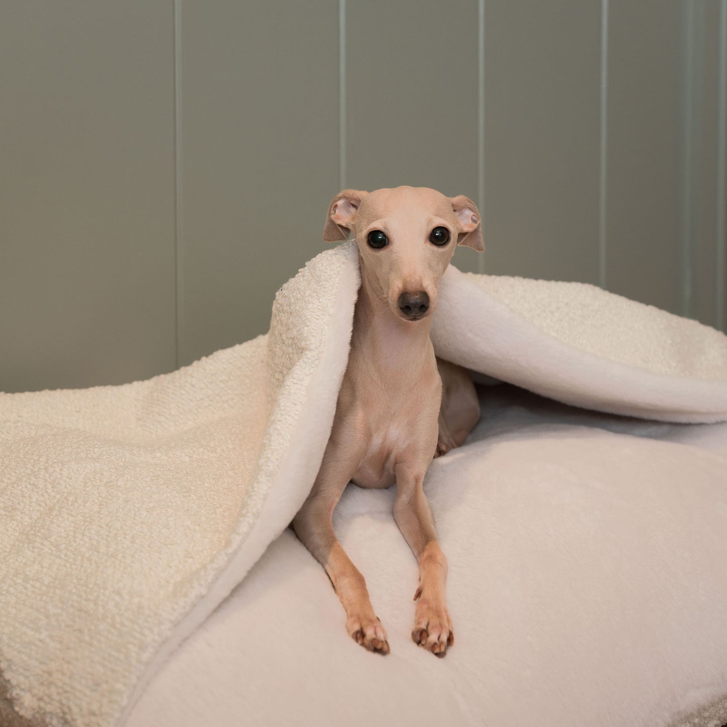 Luxury Ivory Boucle Sleepy Burrows, The Perfect bed For a Pet to Burrow. Available To Personalize In Stunning Ivory Bouclé Here at Lords & Labradors US