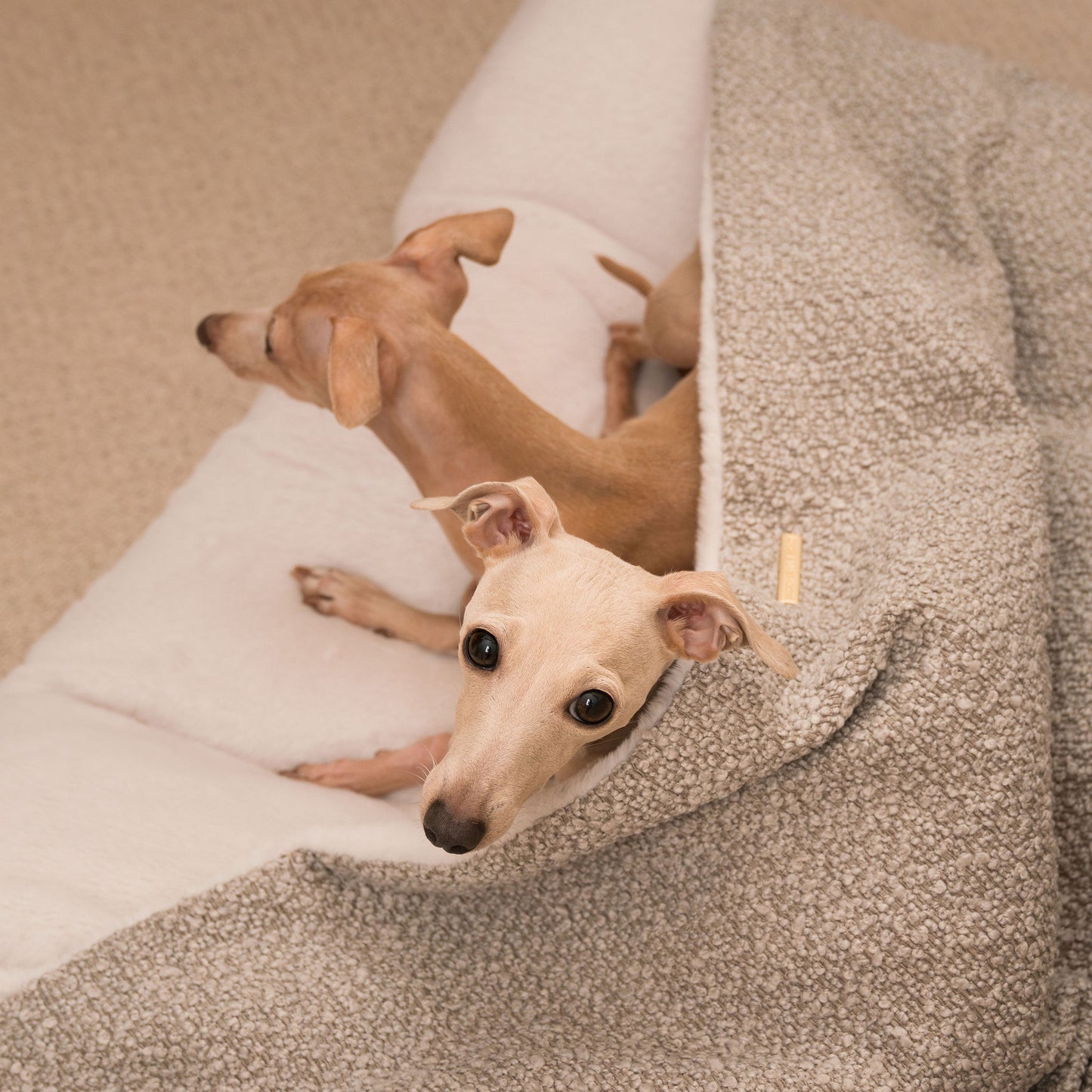Luxury Mink Boucle Sleepy Burrows, The Perfect bed For a Pet to Burrow. Available To Personalize In Stunning Mink Bouclé Here at Lords & Labradors US