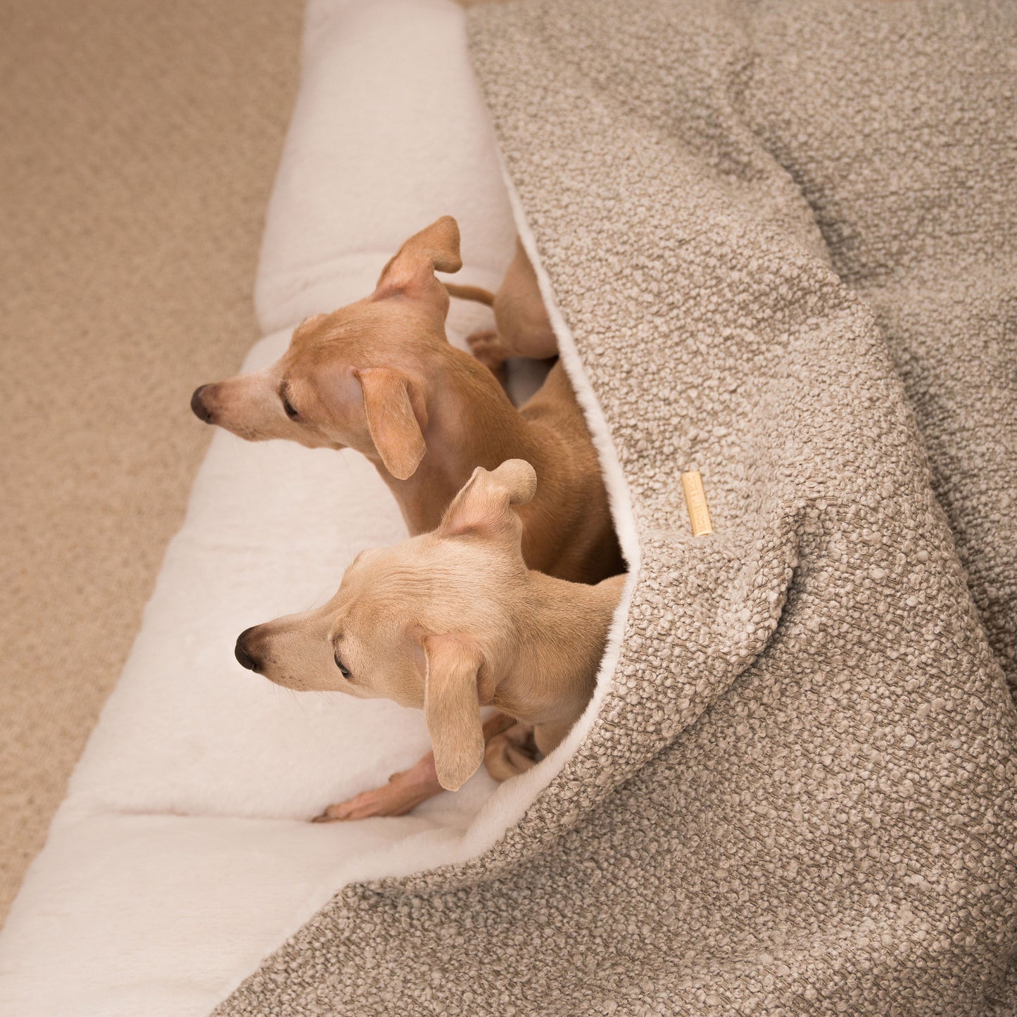 Luxury Mink Boucle Sleepy Burrows, The Perfect bed For a Pet to Burrow. Available To Personalize In Stunning Mink Bouclé Here at Lords & Labradors US