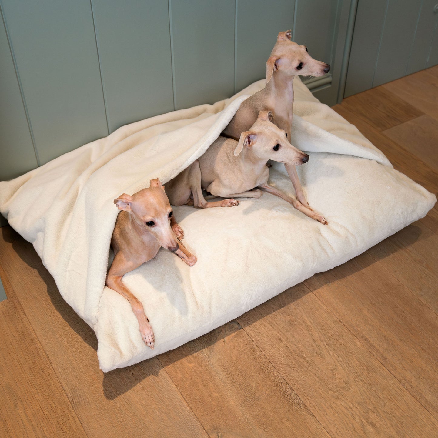 Discover The Perfect Burrow For Your Pet, Our Stunning Sleepy Burrow Dog Beds In Calming Anti Anxiety Cream Faux Fur, Is The Perfect Bed Choice For Your Pet, Available Now at Lords & Labradors US