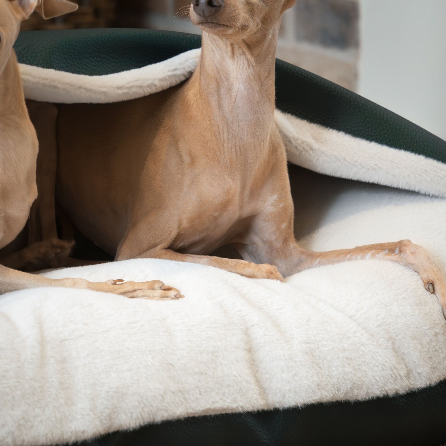 Discover The Perfect Burrow For Your Pet, Our Stunning Sleepy Burrow Dog Beds In Forest Rhino Faux Leather Is The Perfect Bed Choice For Your Pet, Available Now at Lords & Labradors US