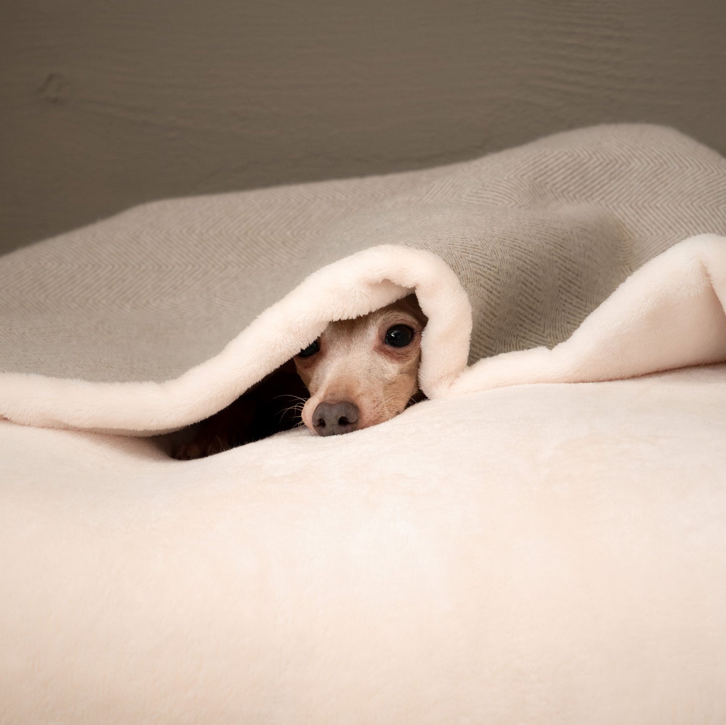Discover The Perfect Burrow For Your Pet, Our Stunning Sleepy Burrow Dog Beds In Natural Herringbone Is The Perfect Bed Choice For Your Pet, Available Now at Lords & Labradors US