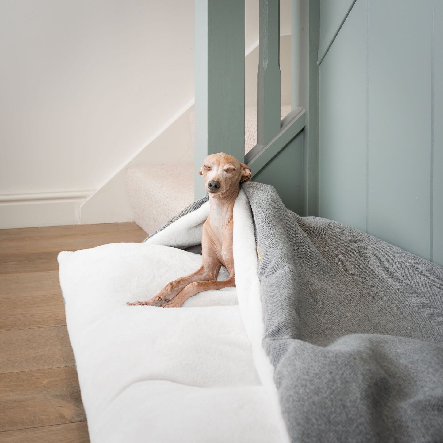 Discover The Perfect Burrow For Your Pet, Our Stunning Sleepy Burrow Dog Beds In Pewter Herringbone Is The Perfect Bed Choice For Your Pet, Available Now at Lords & Labradors US