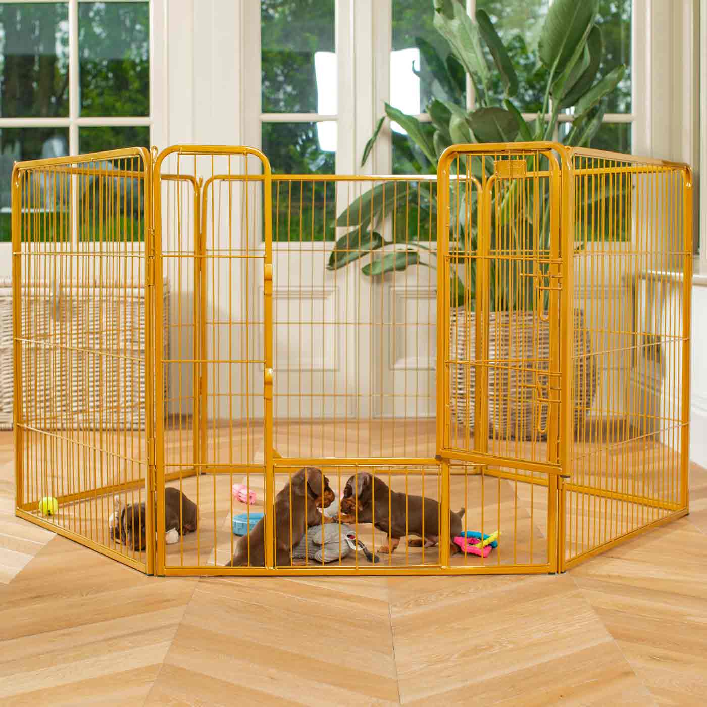 Ensure The Ultimate Puppy Safety with Our Heavy Duty 80cm High Gold Metal Play Pen, Crafted to Take Your Pet Right Through Maturity! Powder Coated to Be Extra Hardwearing! 6 panels that are 80cm high and attachments to connect to any cage. The modular system allows you to change the puppy pen shape with multiple layouts! Available To Now at Lords & Labradors US