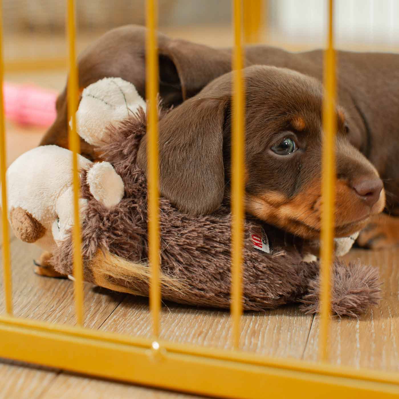 Ensure The Ultimate Puppy Safety with Our Heavy Duty 80cm High Gold Metal Play Pen, Crafted to Take Your Pet Right Through Maturity! Powder Coated to Be Extra Hardwearing! 6 panels that are 80cm high and attachments to connect to any cage. The modular system allows you to change the puppy pen shape with multiple layouts! Available To Now at Lords & Labradors US