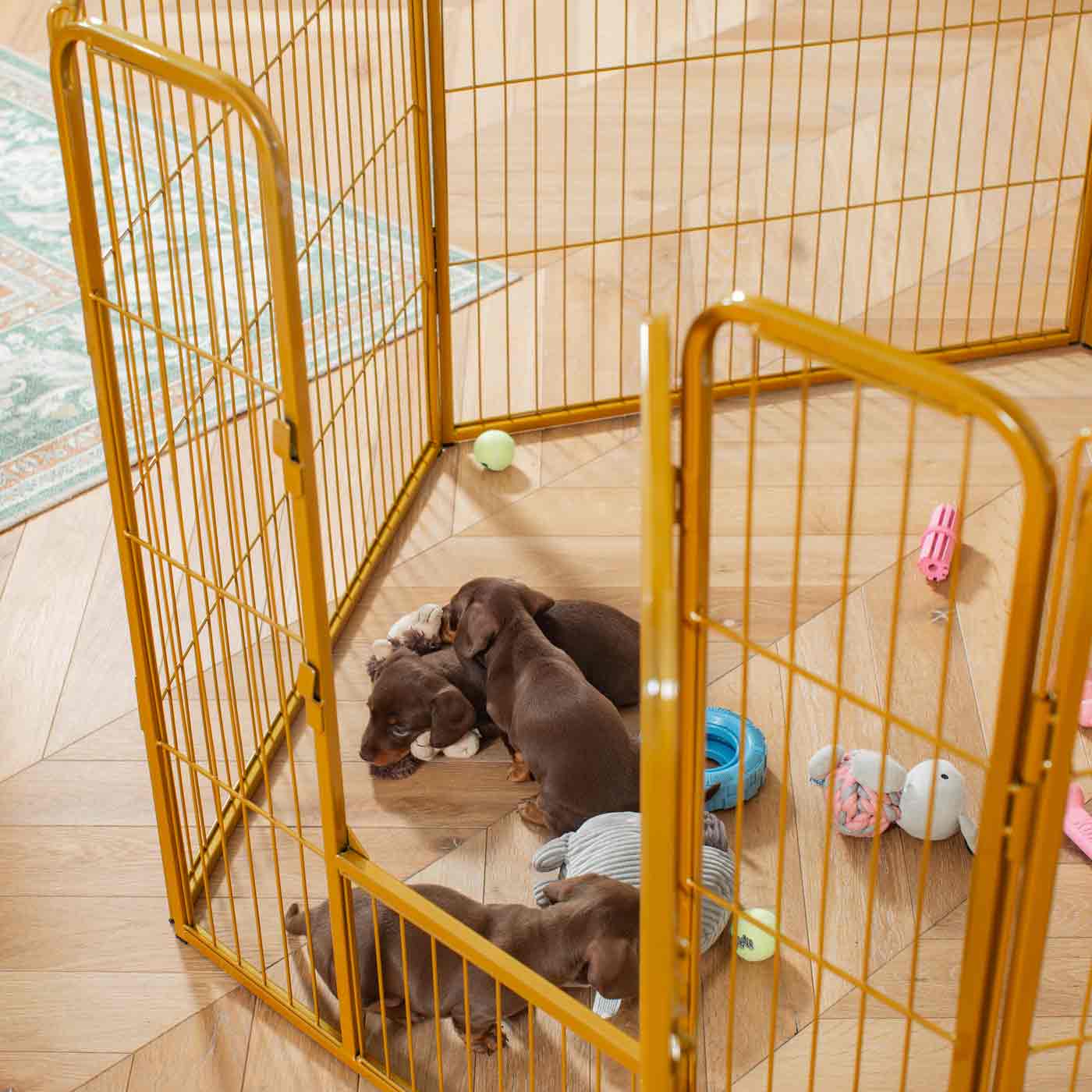 Ensure The Ultimate Puppy Safety with Our Heavy Duty 80cm High Gold Metal Play Pen, Crafted to Take Your Pet Right Through Maturity! Powder Coated to Be Extra Hardwearing! 6 panels that are 80cm high and attachments to connect to any cage. The modular system allows you to change the puppy pen shape with multiple layouts! Available To Now at Lords & Labradors US