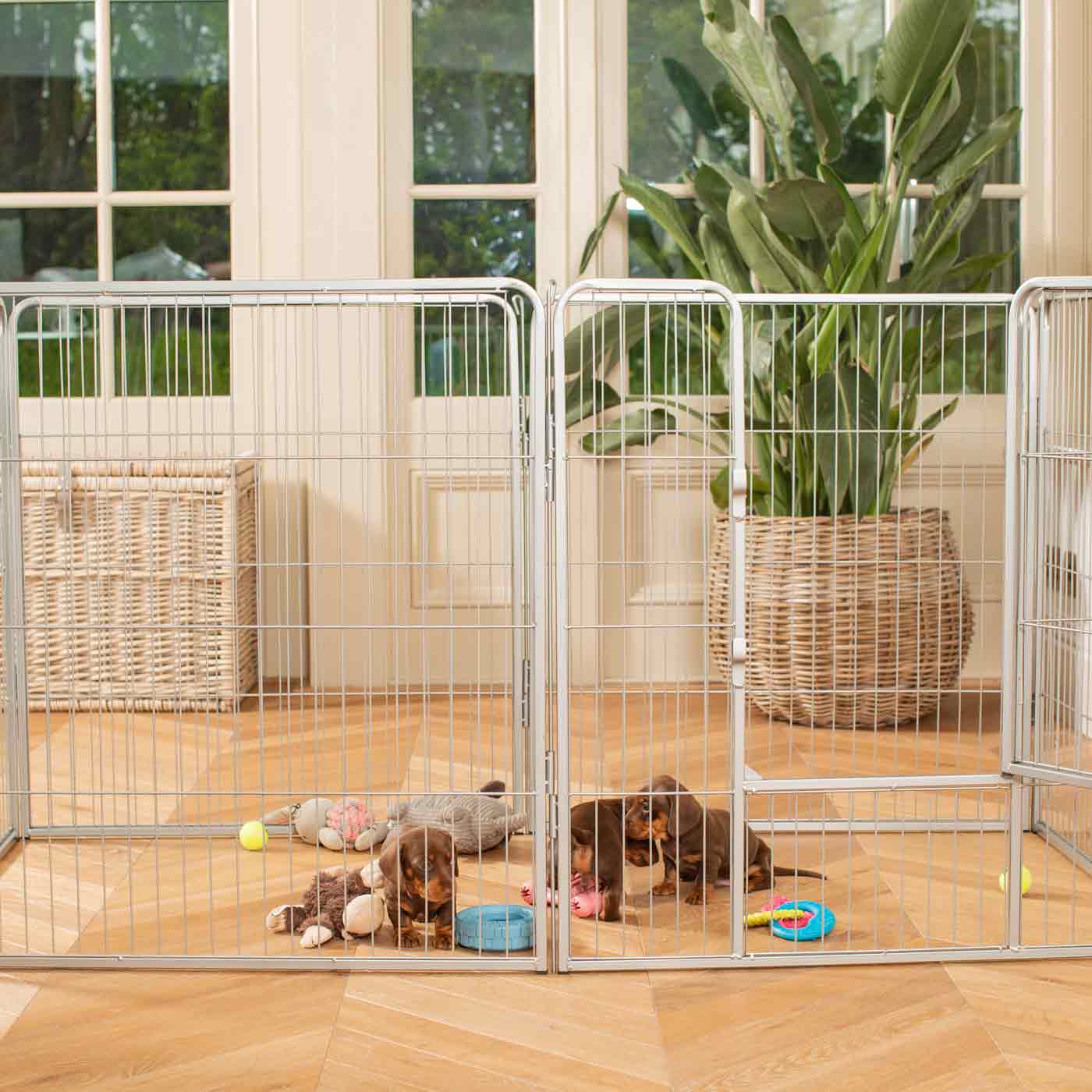 Ensure The Ultimate Puppy Safety with Our Heavy Duty 80cm High Silver Metal Play Pen, Crafted to Take Your Pet Right Through Maturity! Powder Coated to Be Extra Hardwearing! 6 panels that are 80cm high and attachments to connect to any cage. The modular system allows you to change the puppy pen shape with multiple layouts! Available To Now at Lords & Labradors US