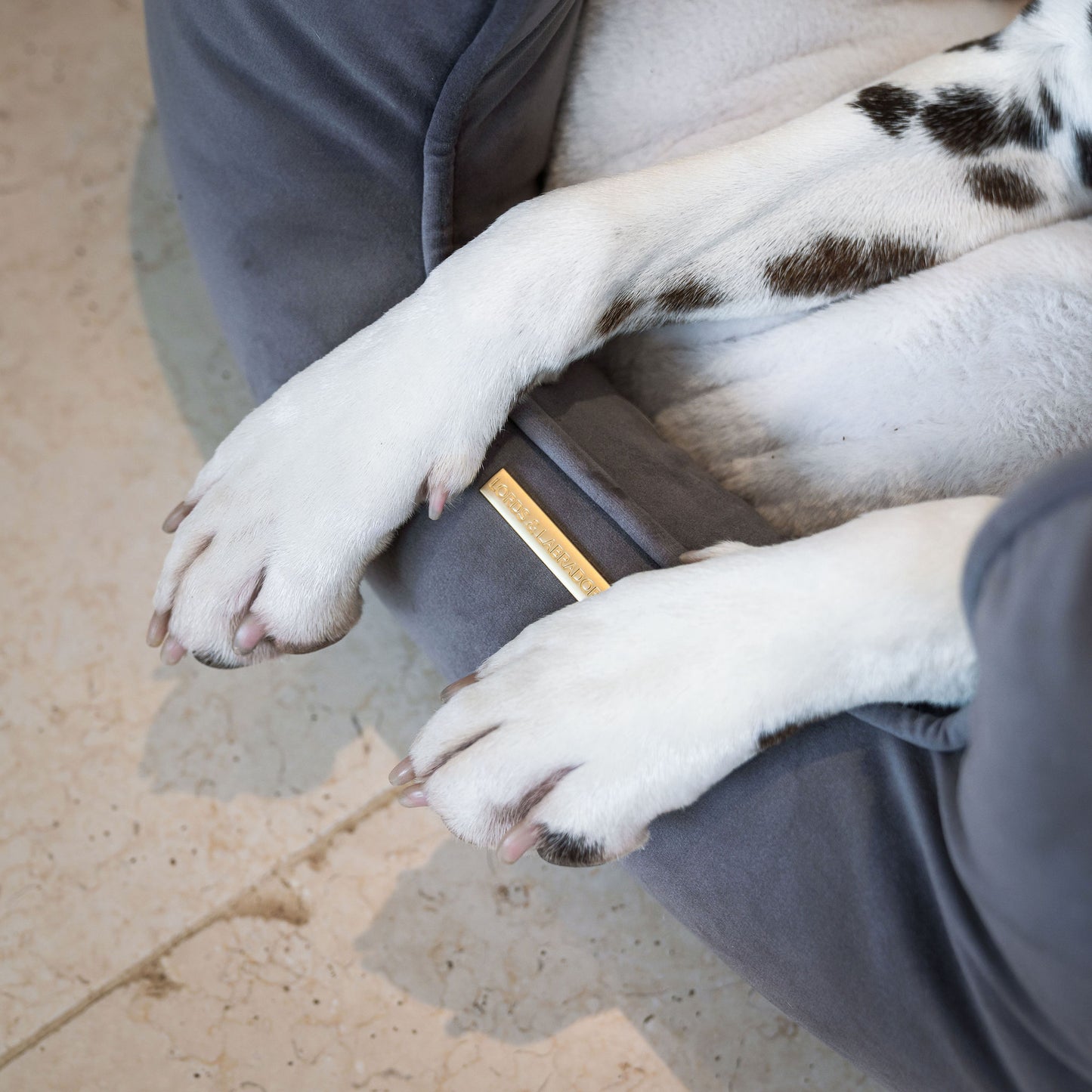High Wall Dog Bed In Silt Velvet By Lords & Labradors