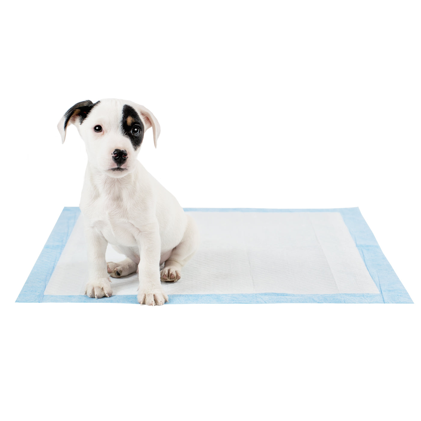 Discover Puppy Training Pads, 50 pads per pack. Featuring Super absorbent with 5 layers absorbency, and Makes house training easy and protects floors. Reducing smelly odours, Perfect for training puppies, travelling, ill or confined dogs. now available at Lords and Labradors US