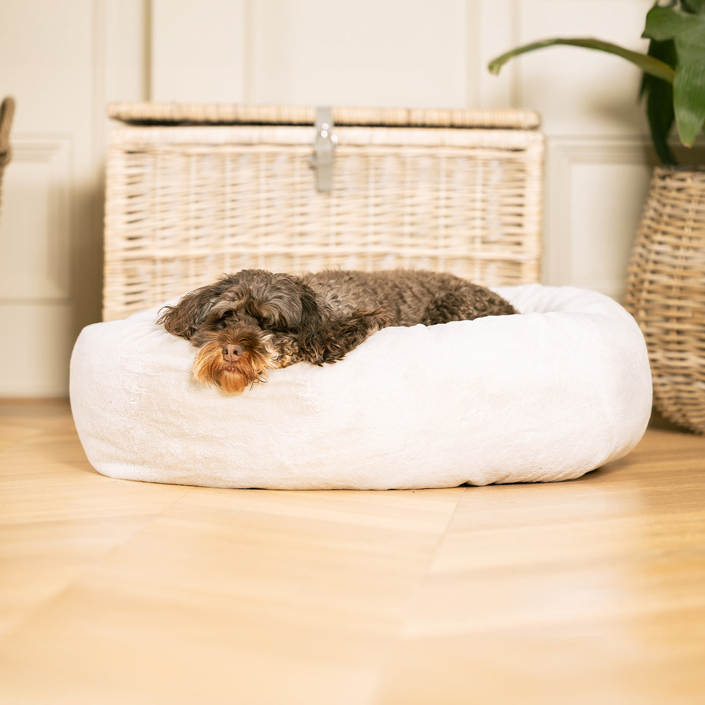 Luxury Anti-Anxiety Donut Dog Bed, In Stunning Cream Faux Fur, Perfect For Your Pets Nap Time! Available Now at Lords & Labradors US