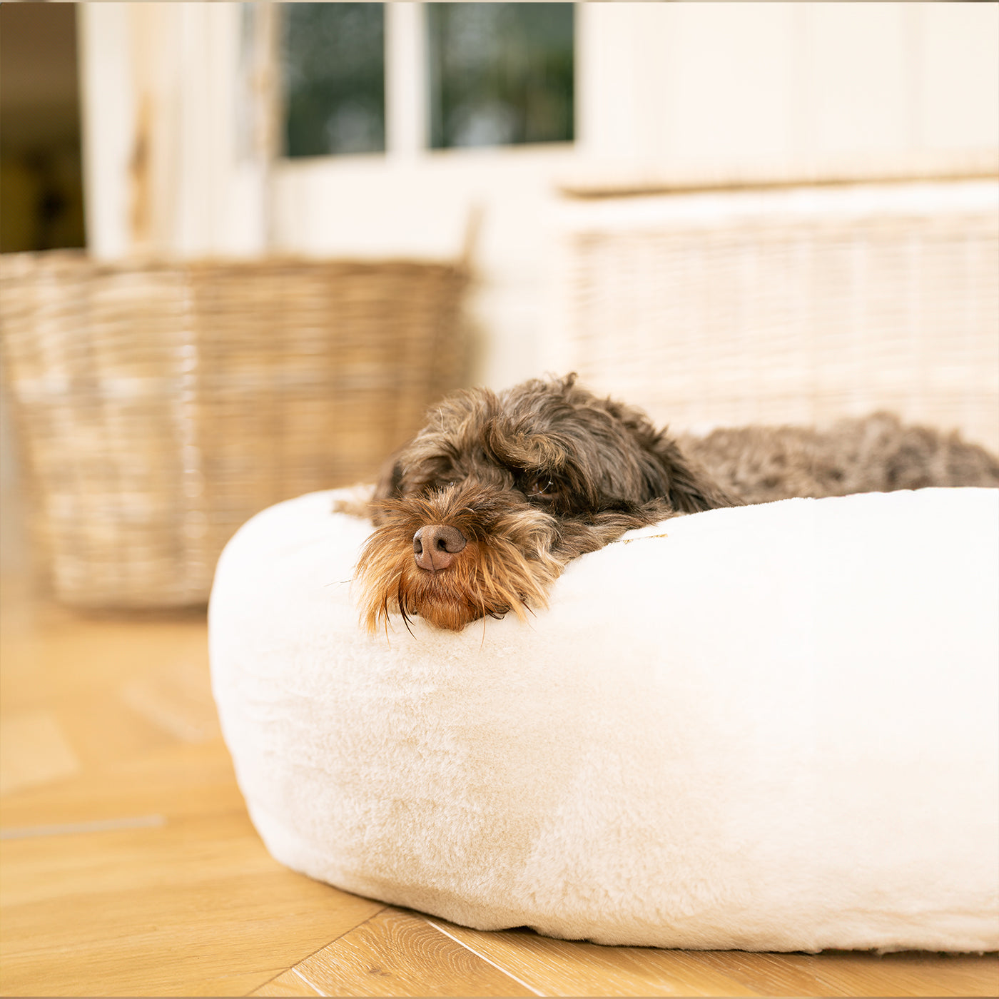 Luxury Anti-Anxiety Donut Dog Bed, In Stunning Cream Faux Fur, Perfect For Your Pets Nap Time! Available Now at Lords & Labradors US