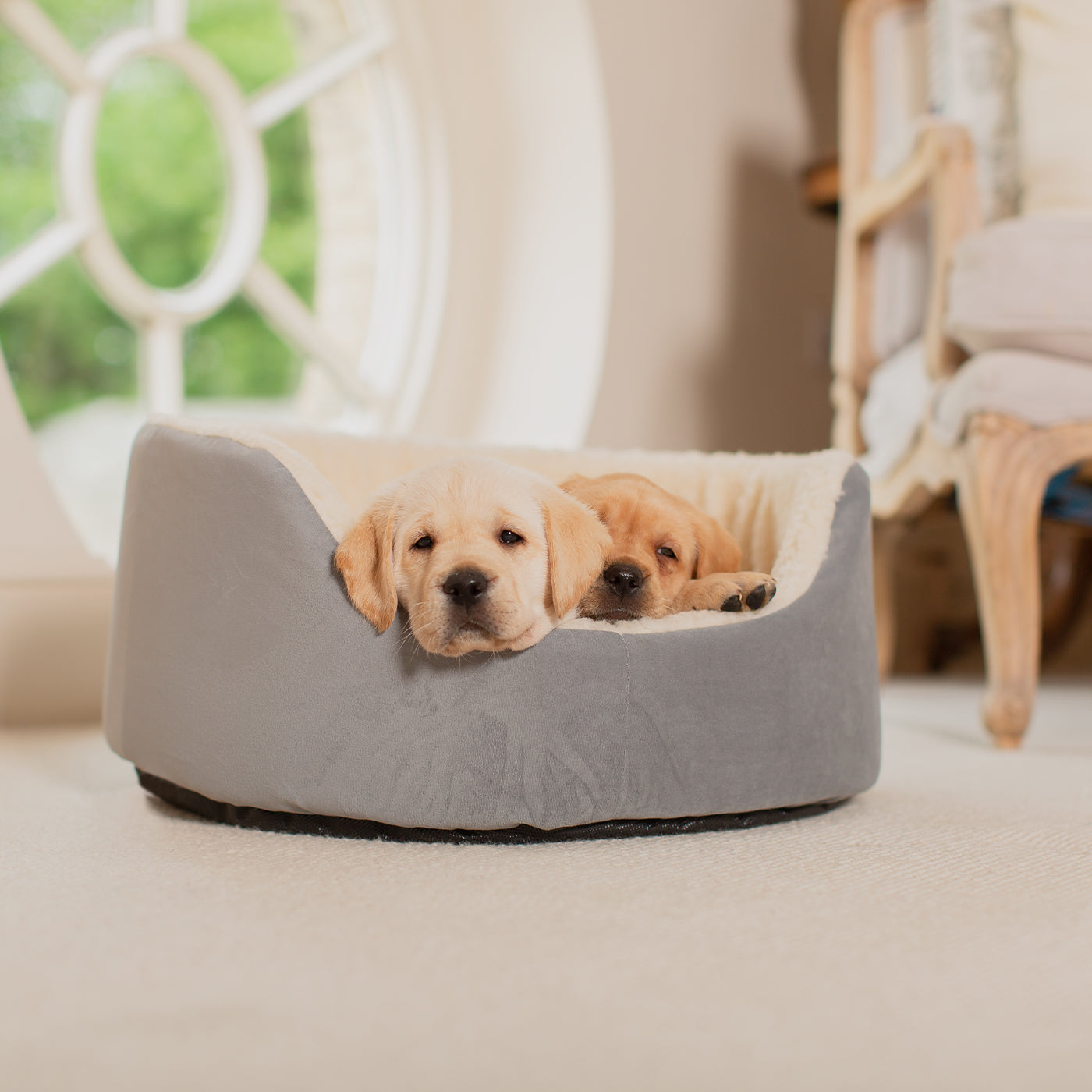 Grow With Me Puppy Bed in Grey by Lords Labradors