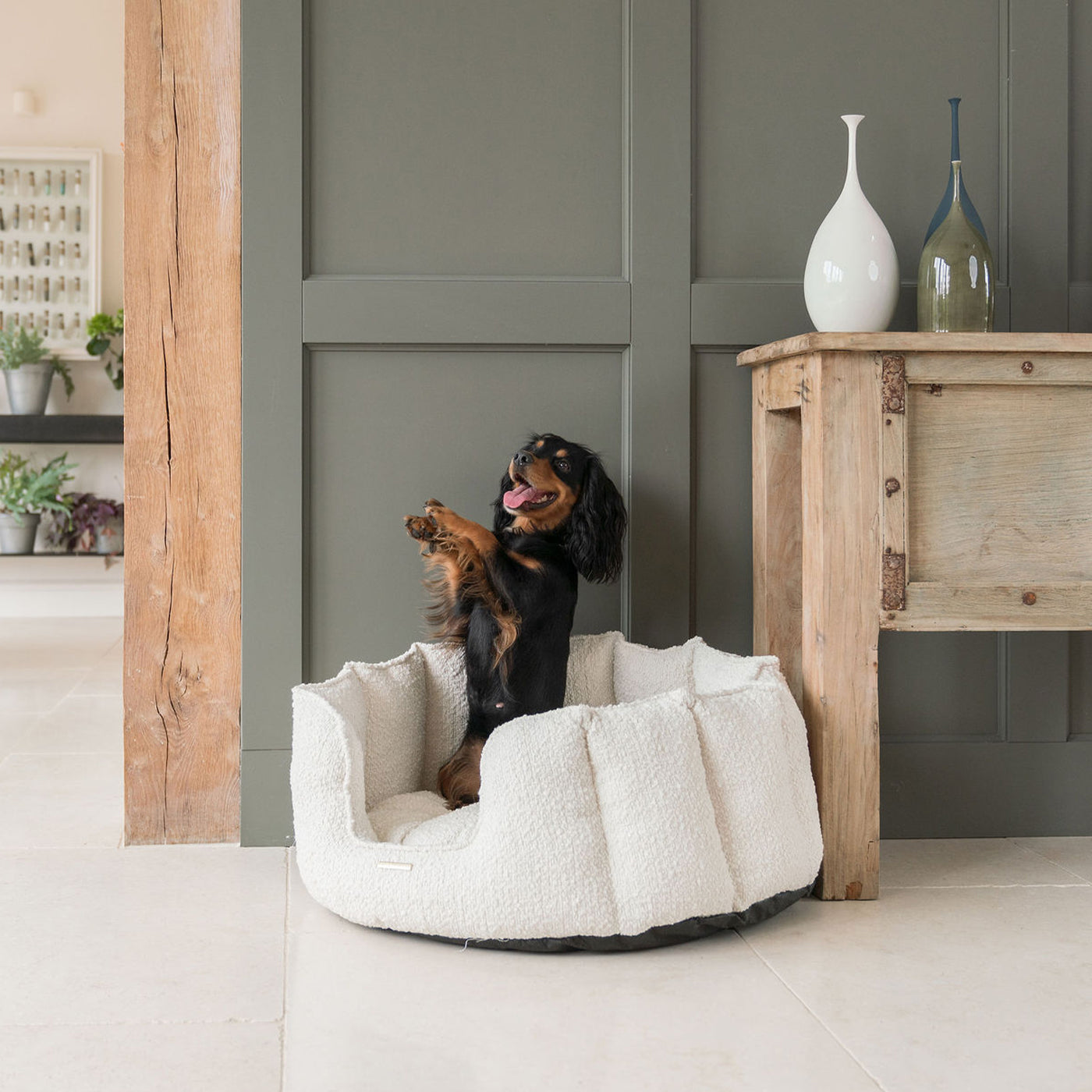 Cool dog beds for small dogs hotsell