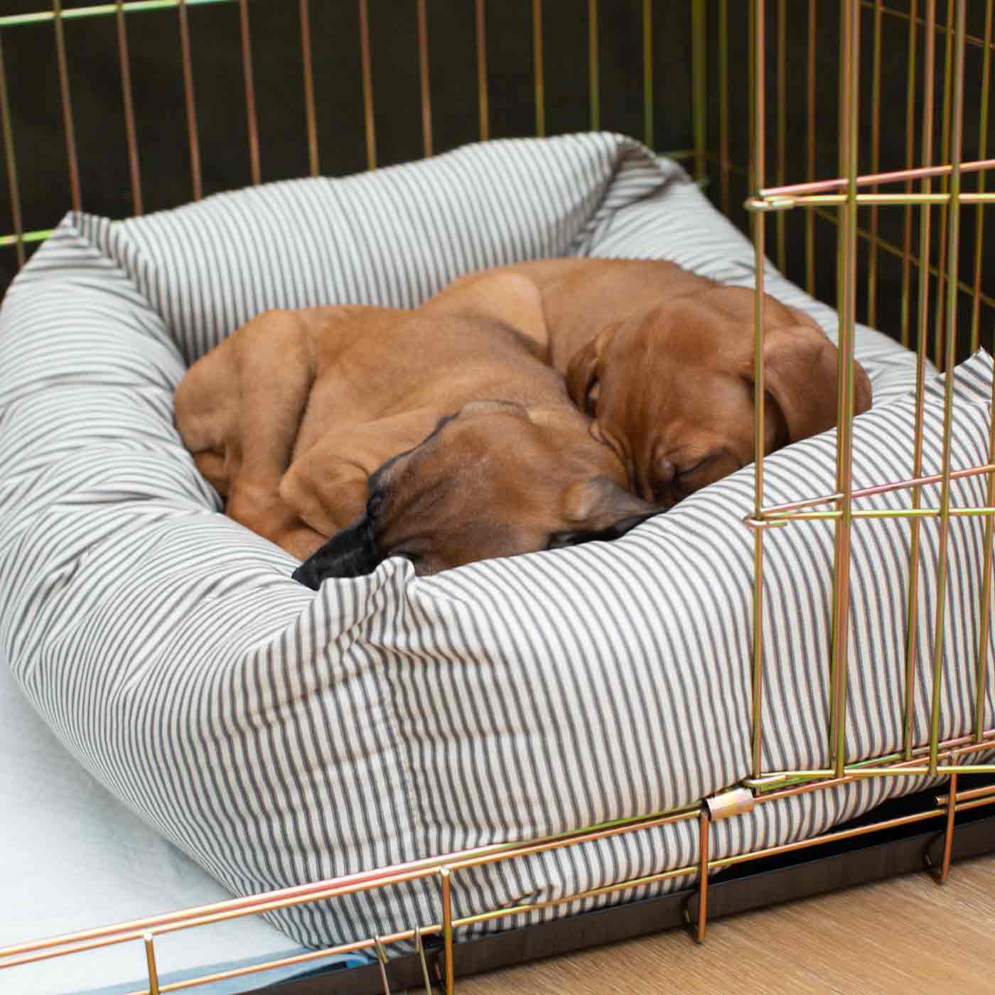 Luxury Gold Dog Cage With Cozy & Calm Puppy Cage Dog Bed, In Regency Stripe. The Perfect Dog Crate For The Ultimate Naptime, Available Now at Lords & Labradors US