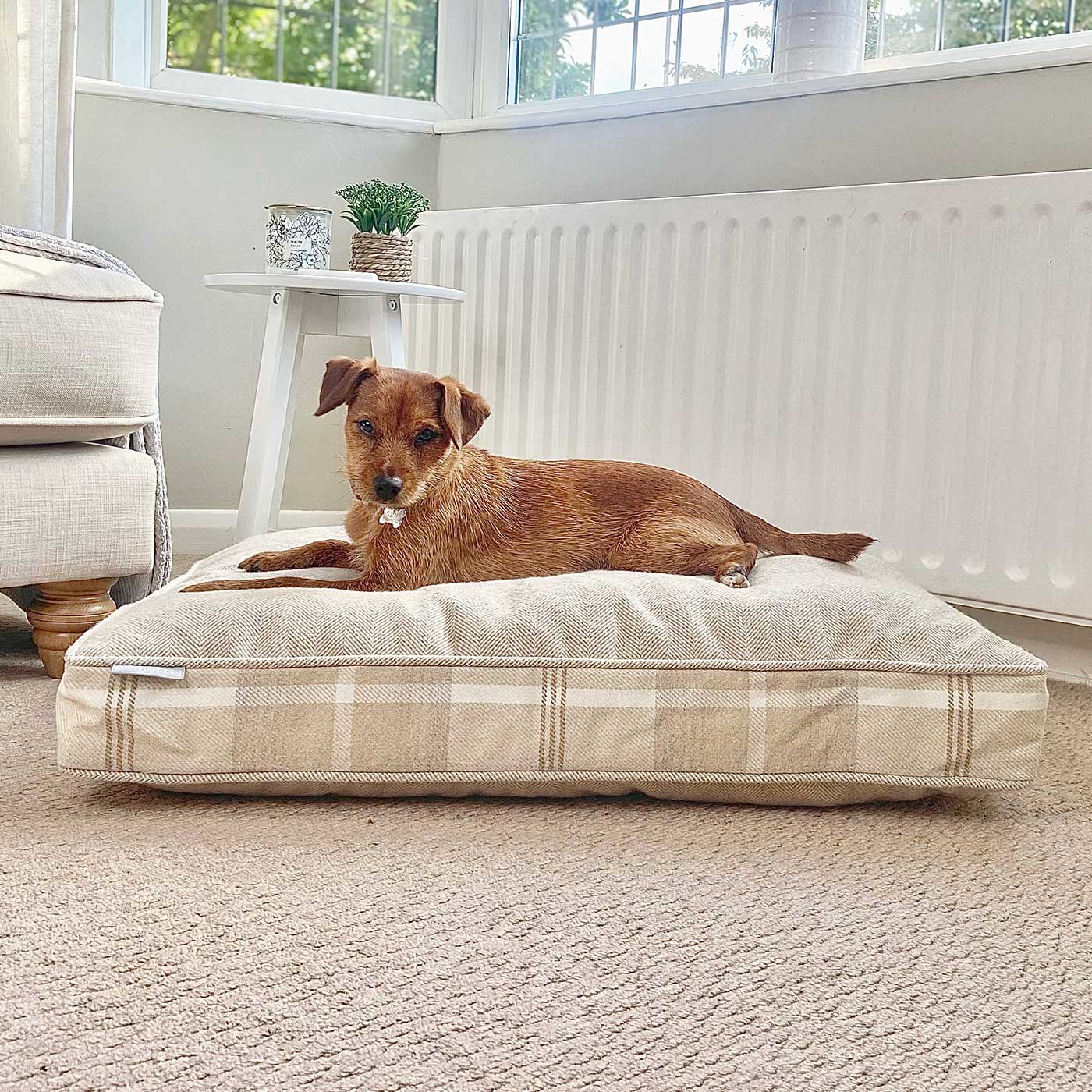 Luxury Dog Cage Cushion, The Perfect Dog Cage For The Ultimate Naptime, Now Available To Personalize at Lords & Labradors US