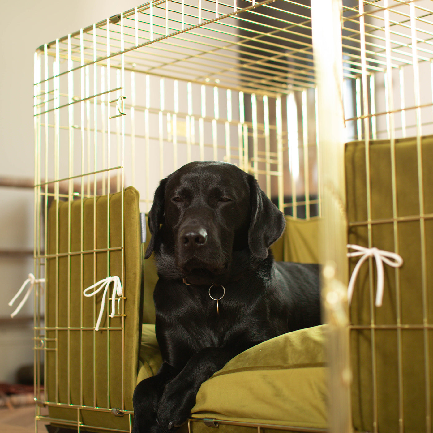 Dog Cage Bumper in Olive Velvet by Lords & Labradors