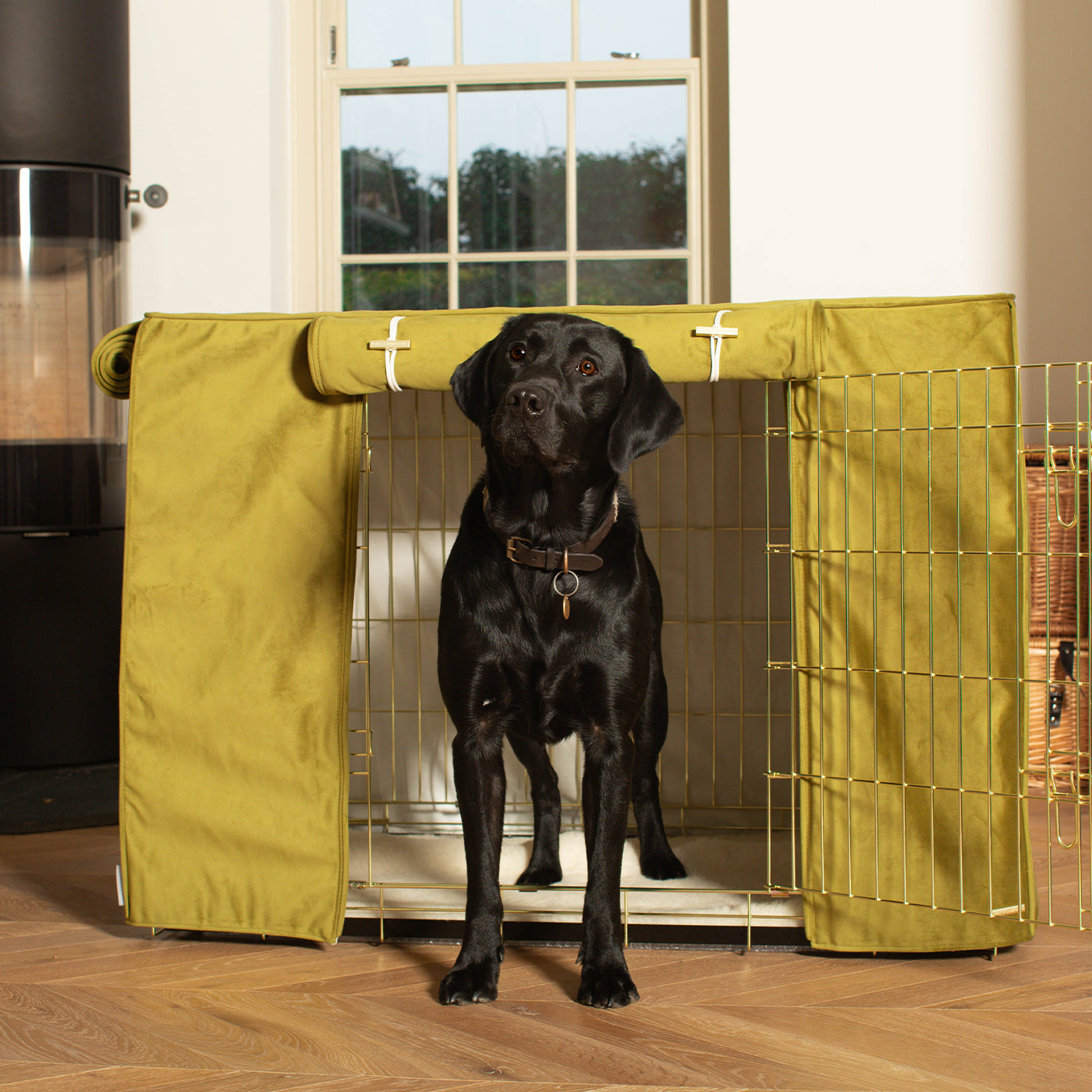 Dog Cage with Cage Cover in Olive Velvet by Lords & Labradors