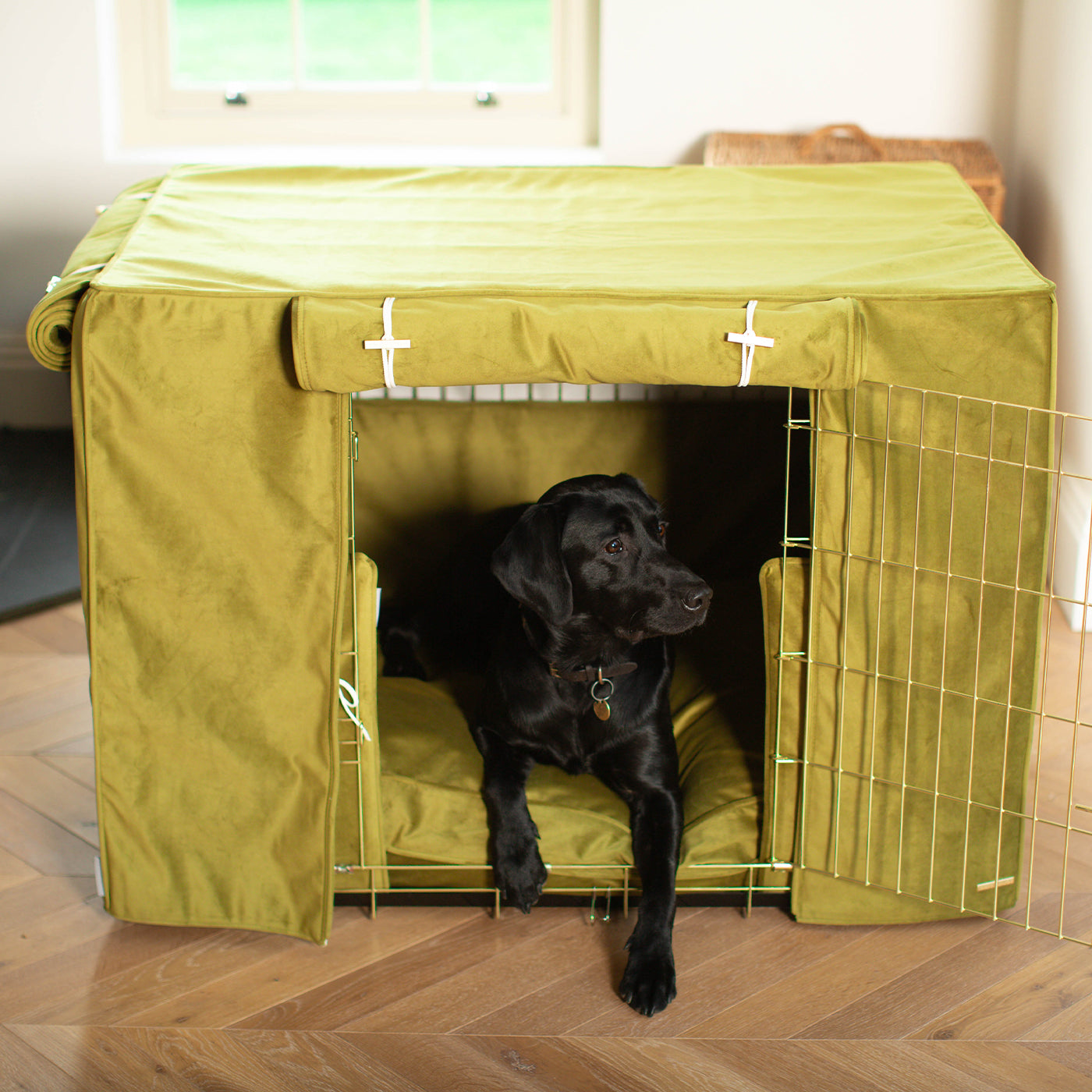 Dog Cage Set In Olive Velvet by Lords & Labradors