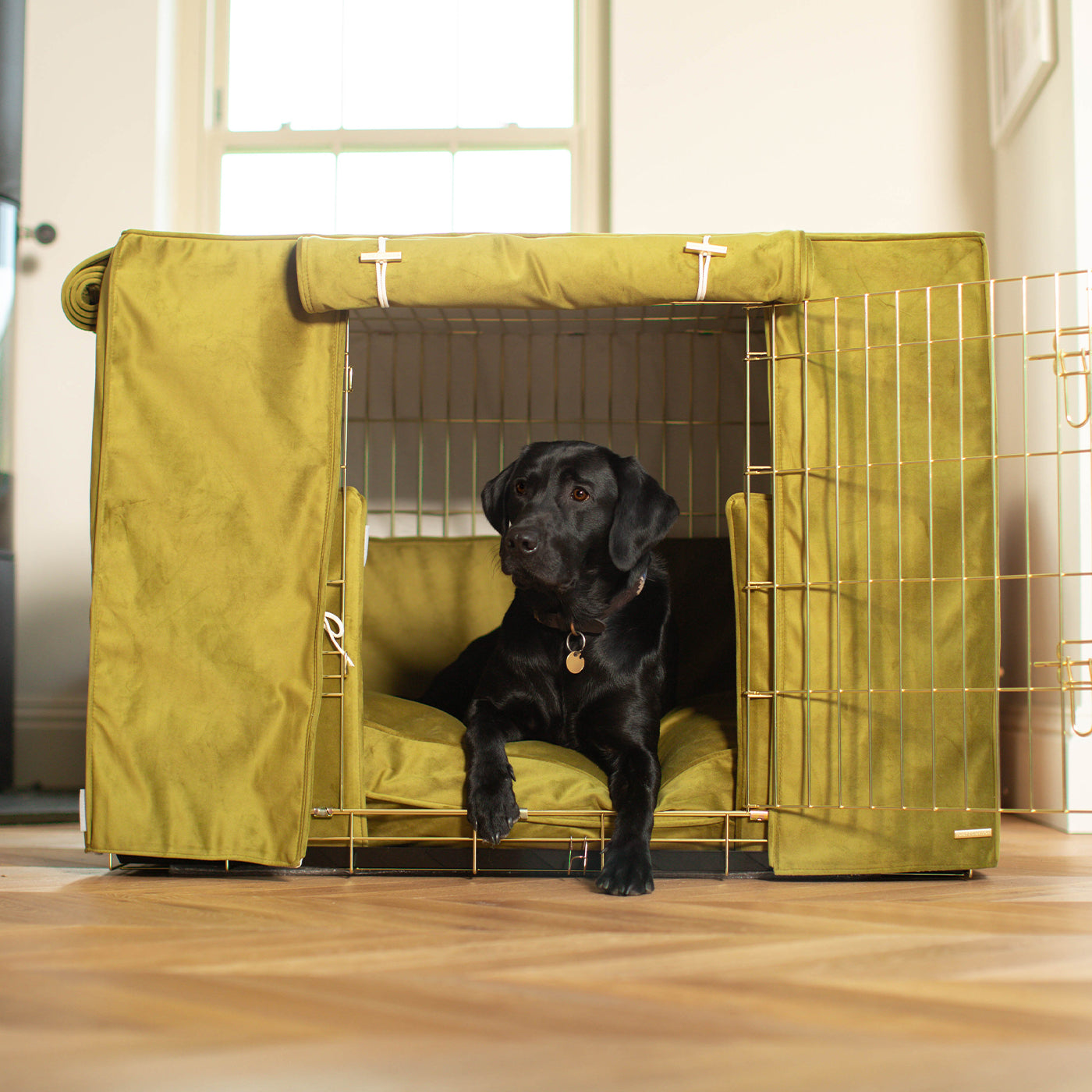 Dog Cage Set In Olive Velvet by Lords & Labradors