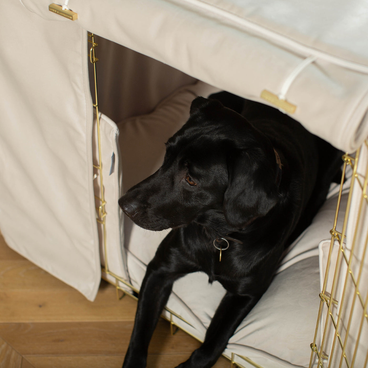 Dog Cage Set In Oyster Velvet by Lords & Labradors