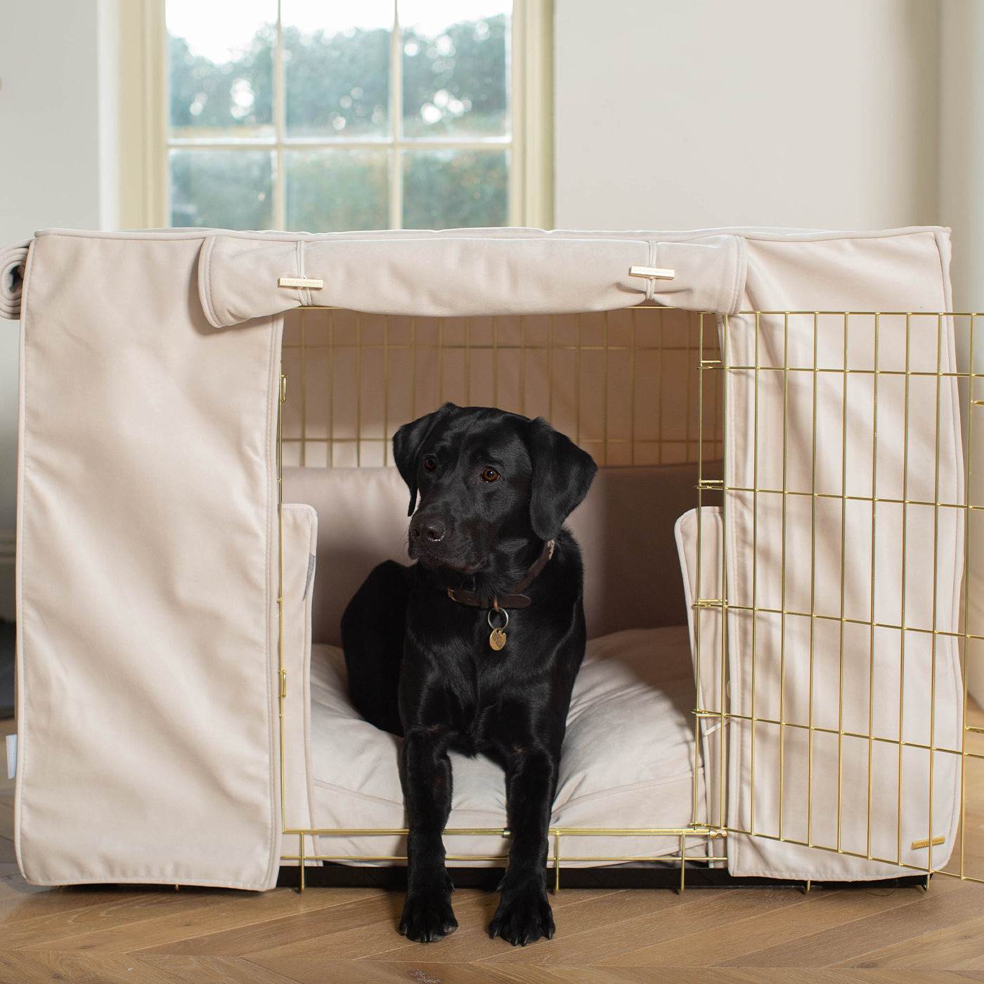 Dog Cage Set In Oyster Velvet by Lords & Labradors