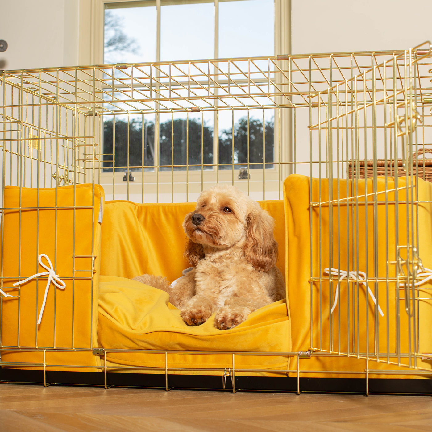 Dog Cage with Cushion & Bumper in Saffron Velvet by Lords & Labradors