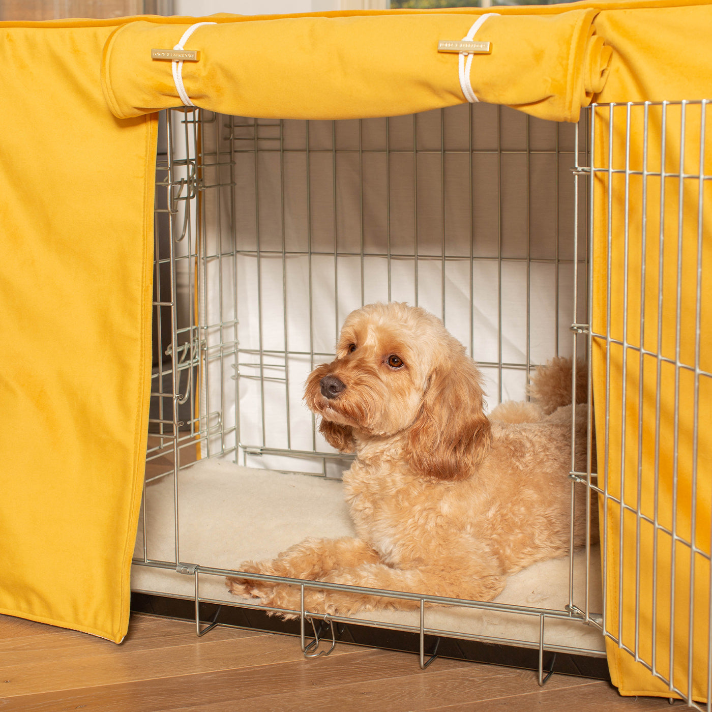 Dog Cage with Cage Cover in Saffron Velvet by Lords & Labradors