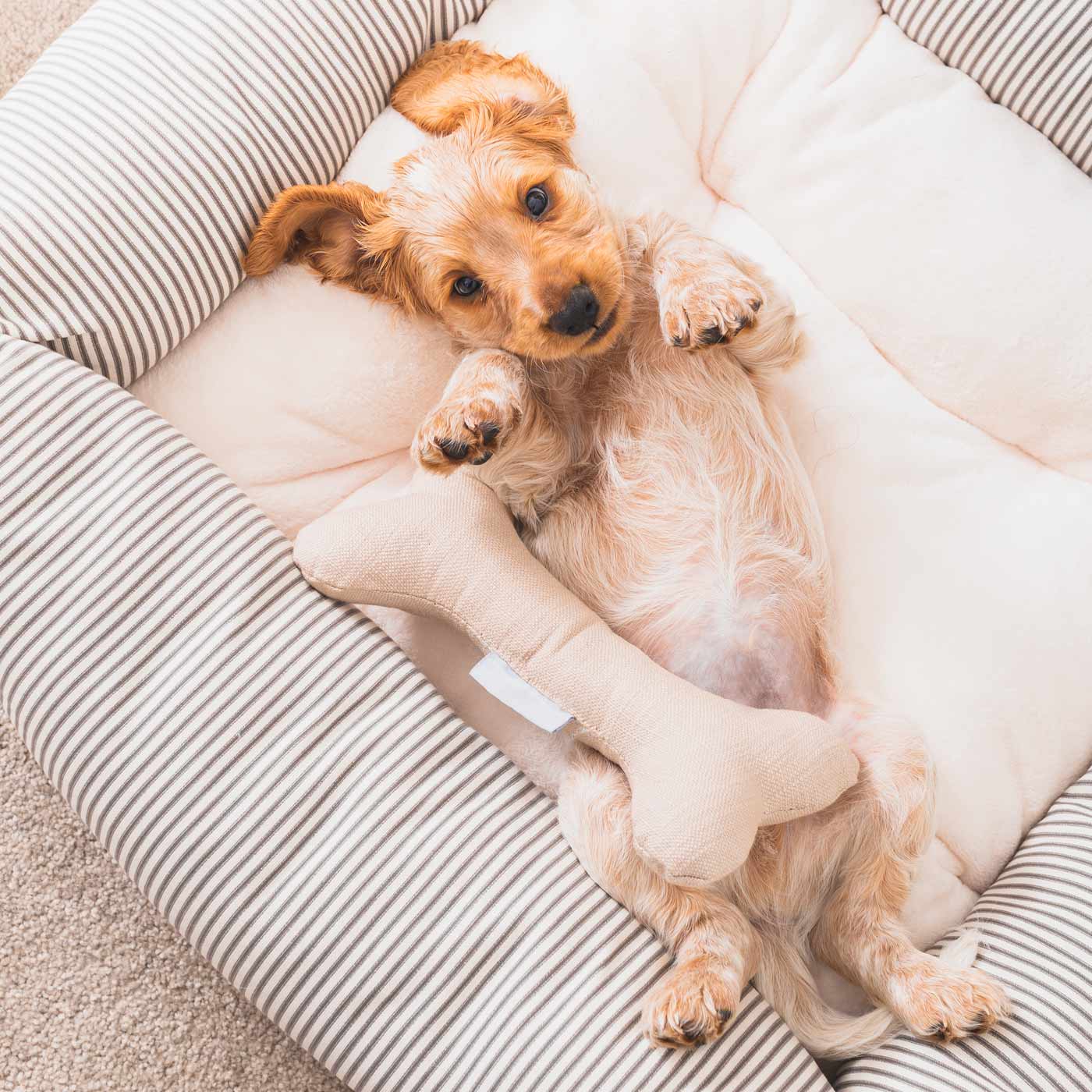 Present The Perfect Pet Playtime With Our Luxury Dog Bone Toy, In Stunning Savanna Oatmeal! Available To Personalize Now at Lords & Labradors US