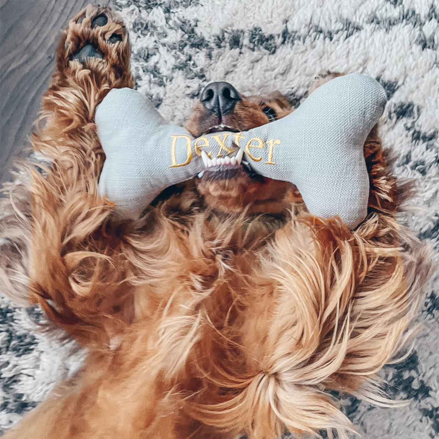 Present The Perfect Pet Playtime With Our Luxury Dog Bone Toy, In Stunning Savanna Stone! Available To Personalize Now at Lords & Labradors US