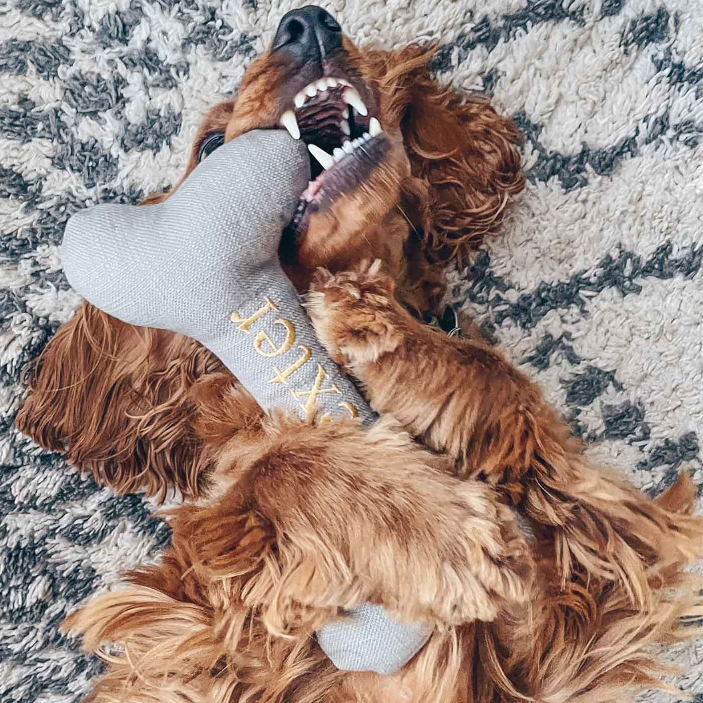 Present The Perfect Pet Playtime With Our Luxury Dog Bone Toy, In Stunning Savanna Stone! Available To Personalize Now at Lords & Labradors US
